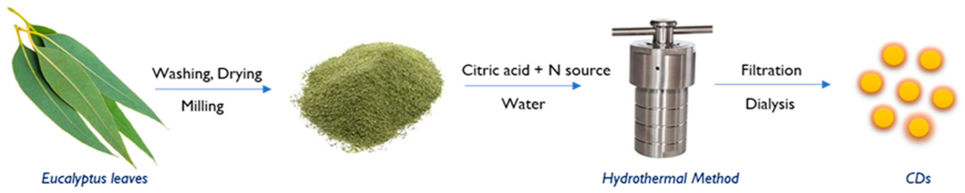 Environments 11 00006 g001