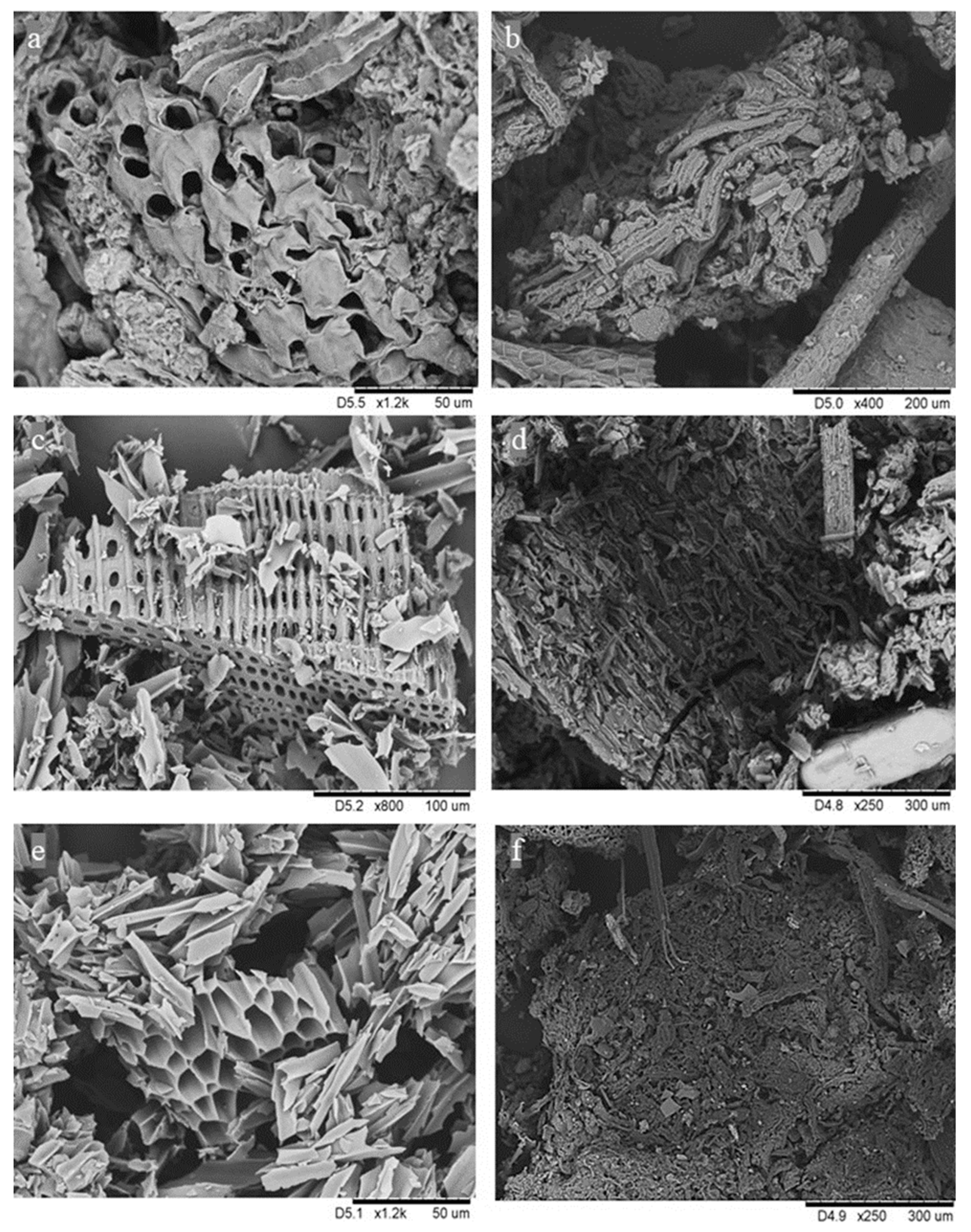 Environments 11 00013 g002