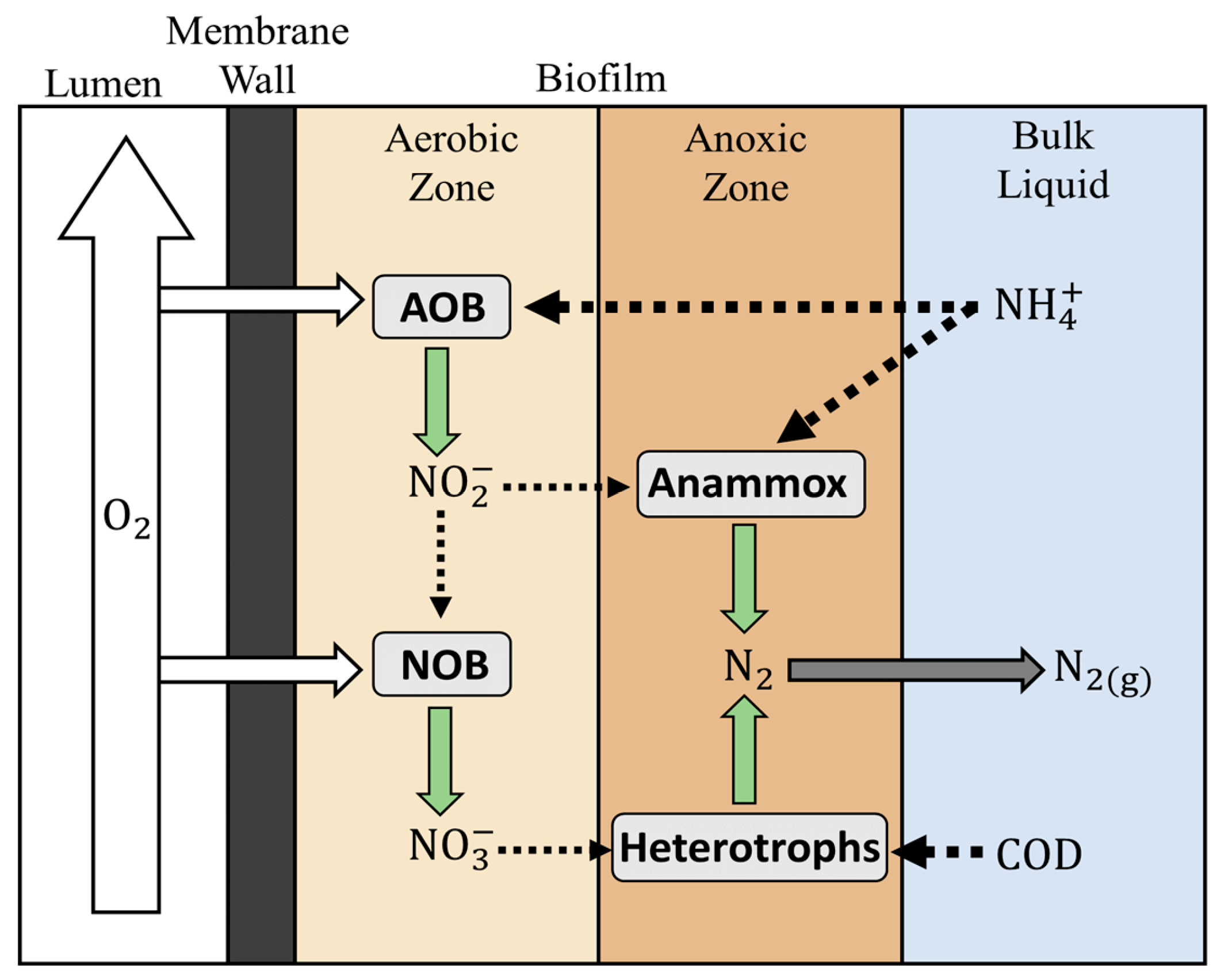 Environments | Free Full-Text | Heated Aeration For Nitrite-Oxidizing ...