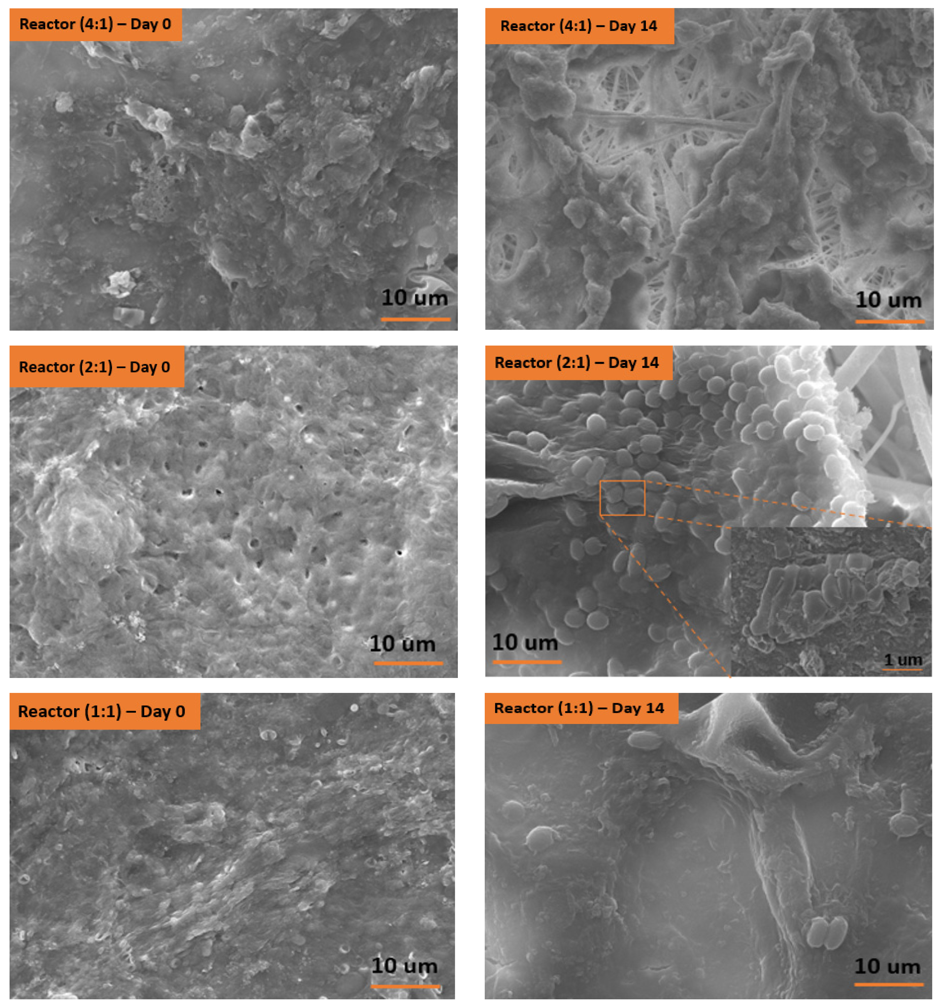 Environments 11 00162 g007