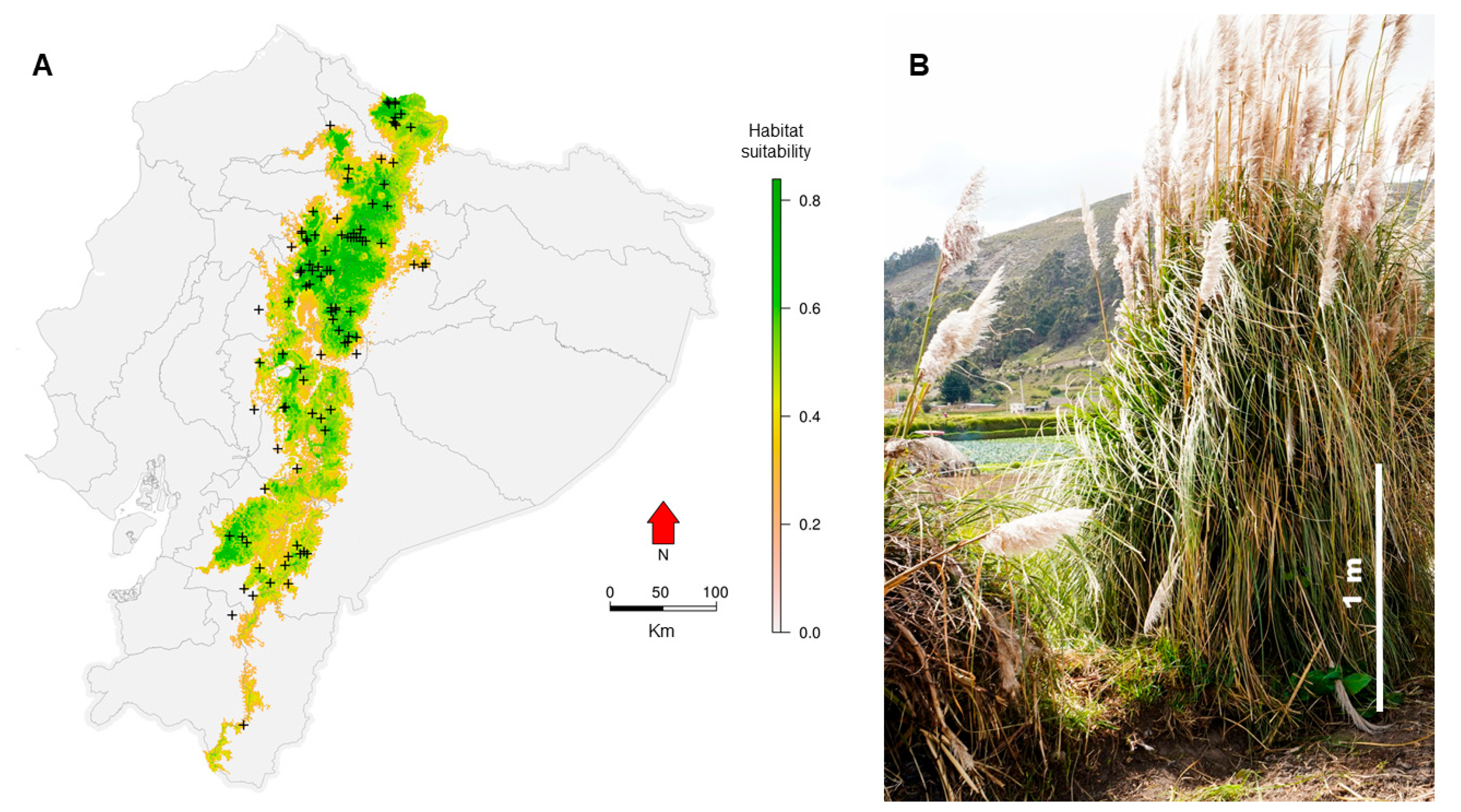 Environments 11 00205 g001