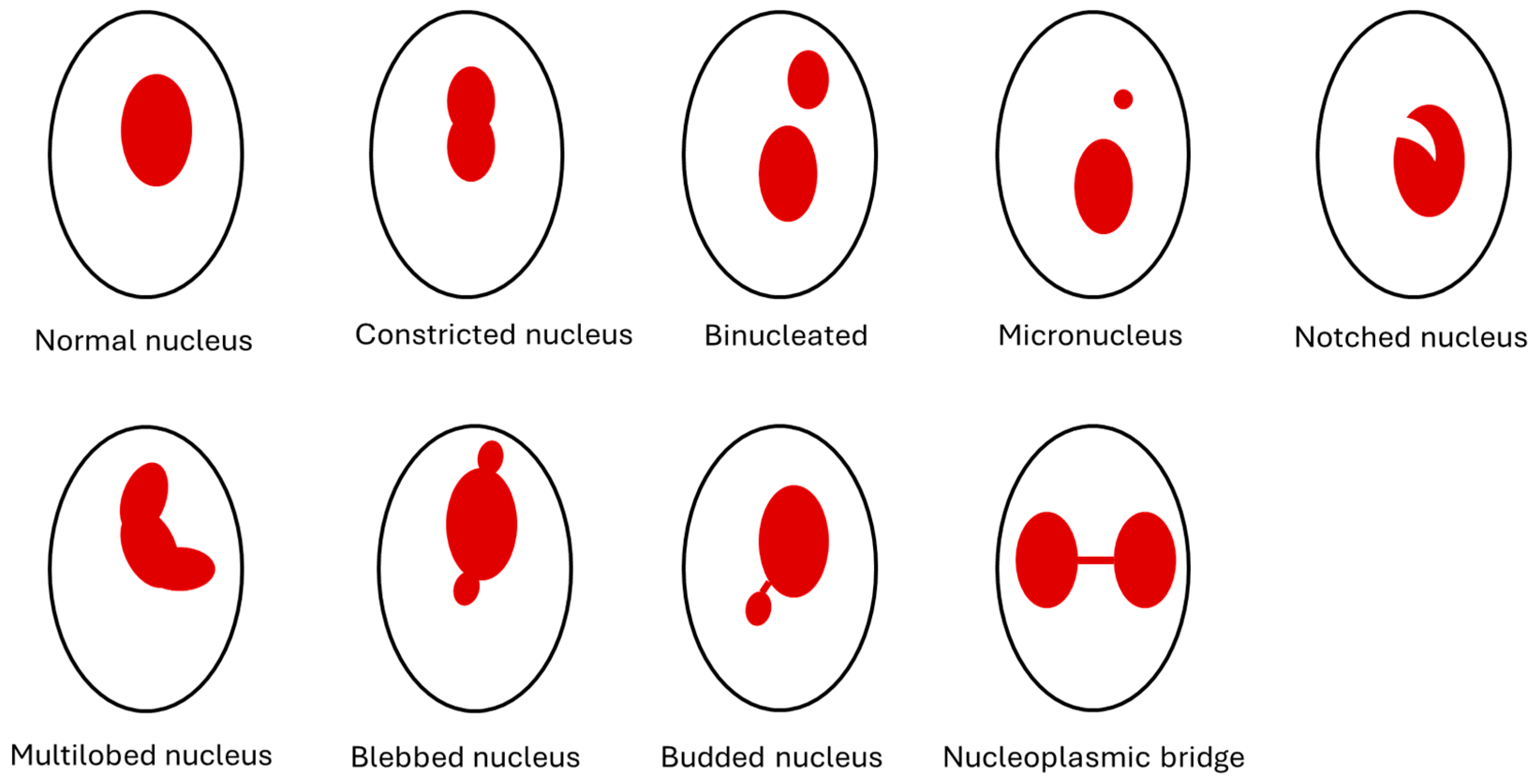 Environments 12 00010 g001