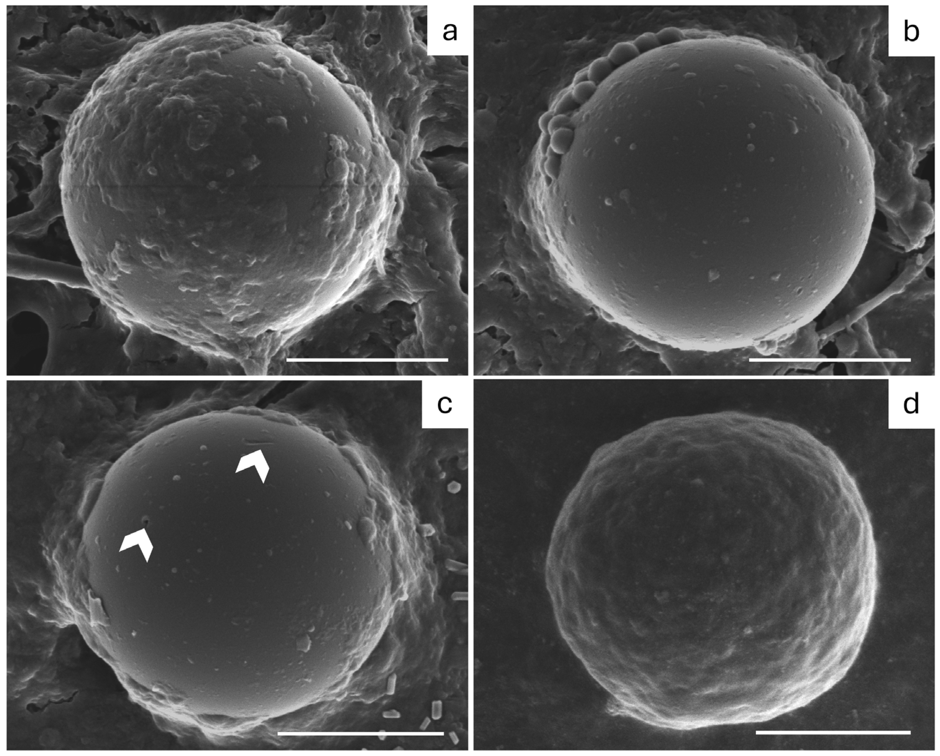 Environments 12 00365 g003 Environments 12 00365 g003