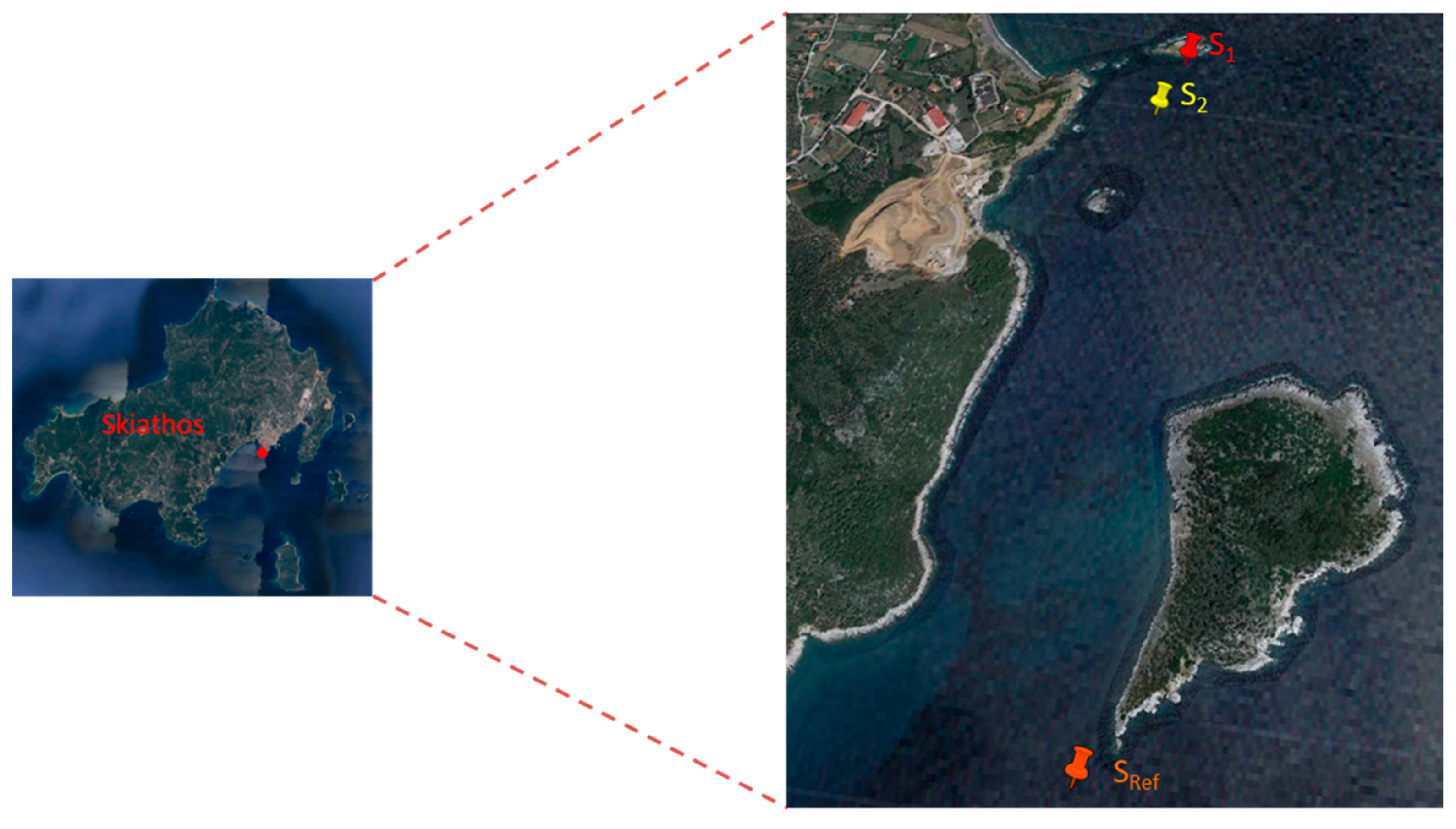 Environmental Sciences Proceedings | Free Full-Text | The Impact of  Possible Mercury Source-Point Contamination in the Coastal Area of Skiathos  Island | HTML