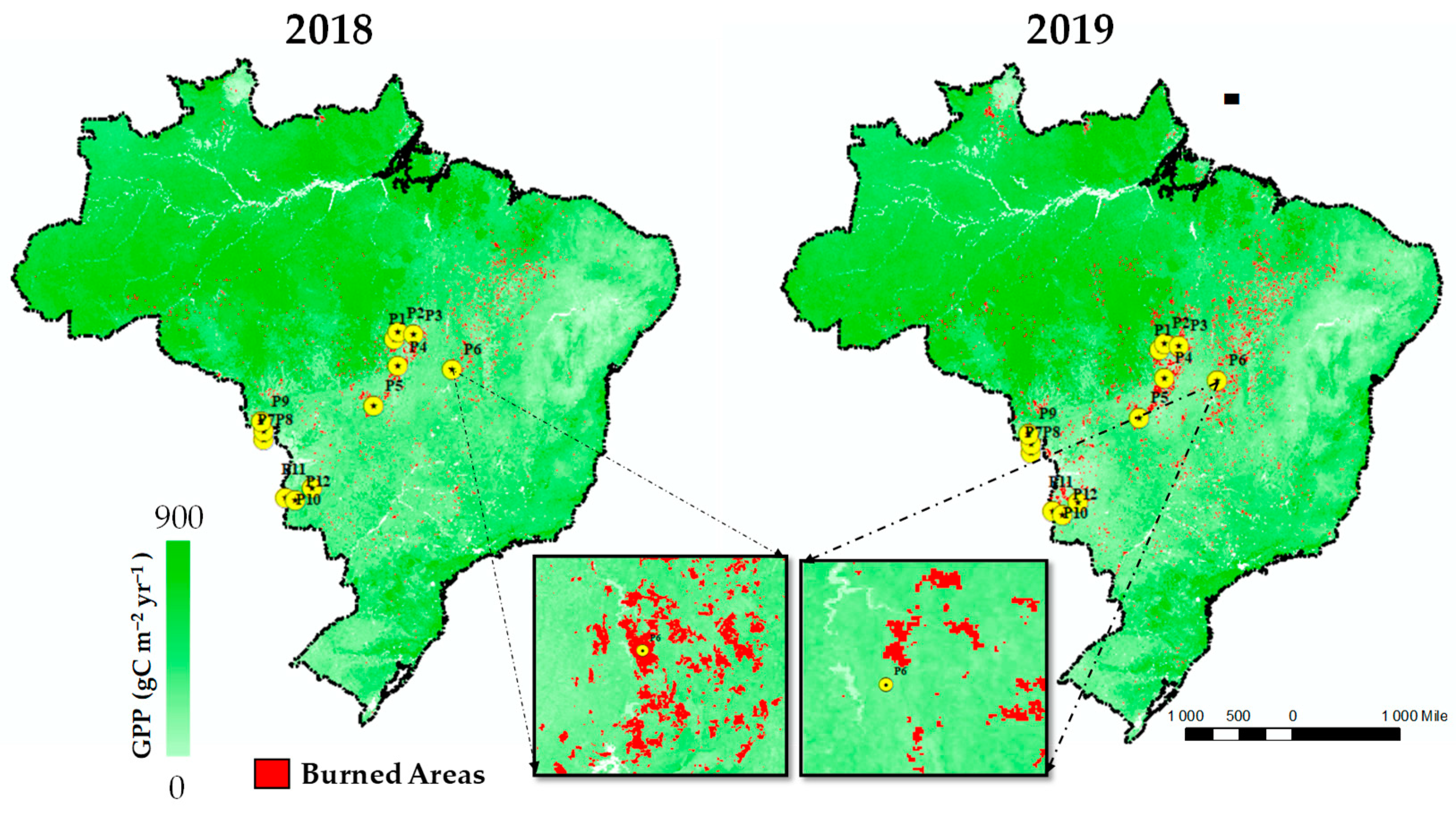 Environmental Sciences Proceedings | Free Full-Text | Amazonian Fire Events  Disturbed the Global Carbon Cycle: A Study from 2019 Amazon Wildfire Using  Google Earth Engine