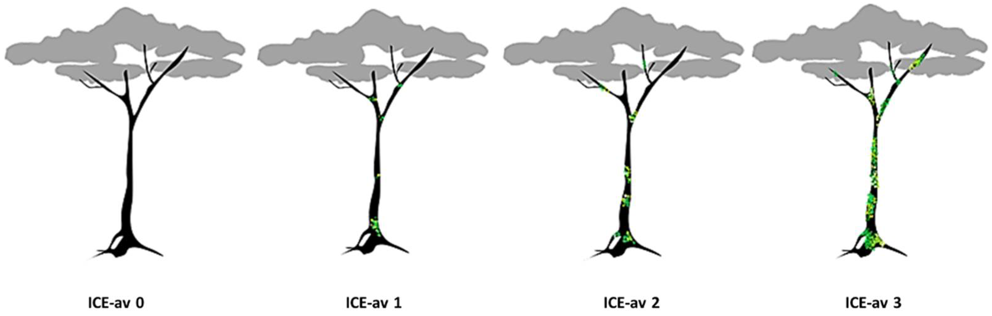 The Potential of Non-Vascular Epiphytes in Water Storage in the Montane ...