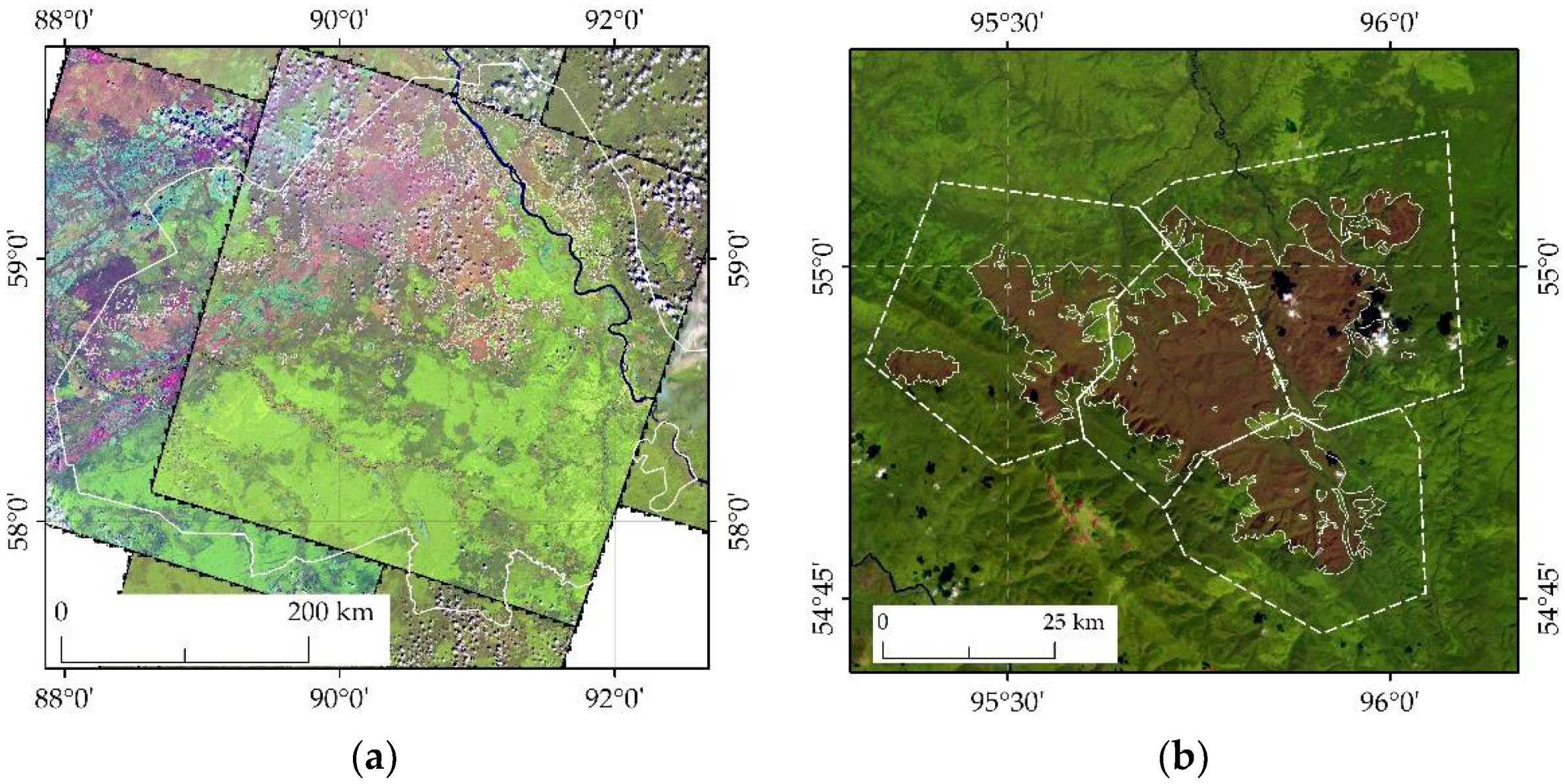Environmental Sciences Proceedings | Free Full-Text | Spatial Dynamics of  Tree Stand Disturbance under Siberian Silk Moth (Dendrolimus sibiricus)  Impact in Central Siberia in 2016&ndash;2020 Based on Remote Sensing Data