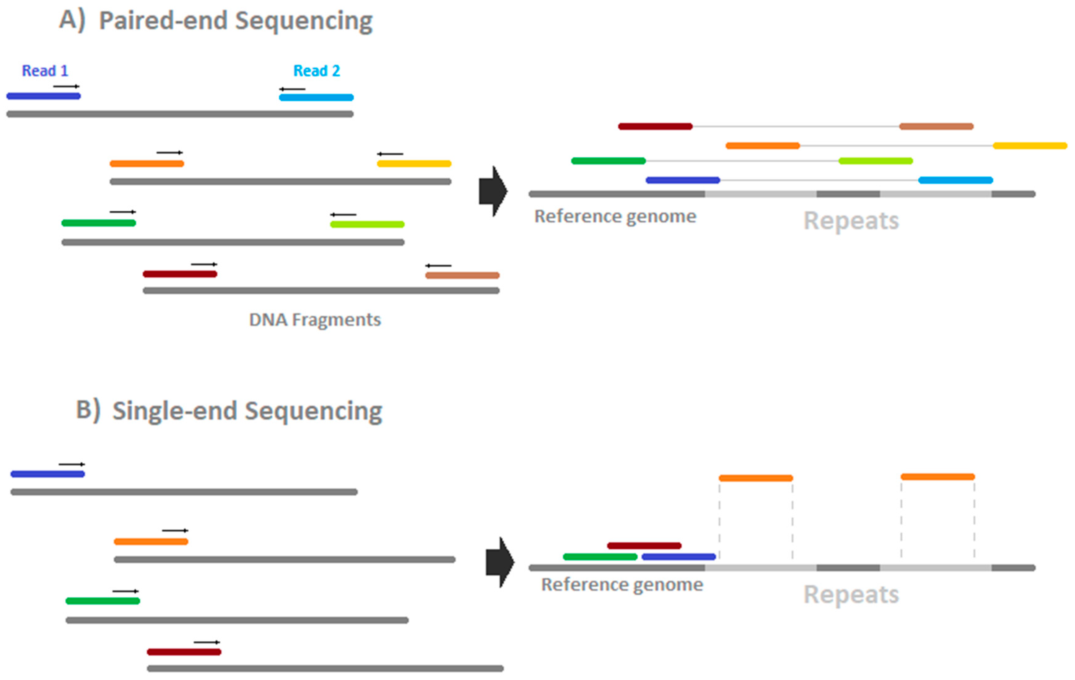 Epigenomes | Free Full-Text | How to Design a Whole-Genome Bisulfite  Sequencing Experiment
