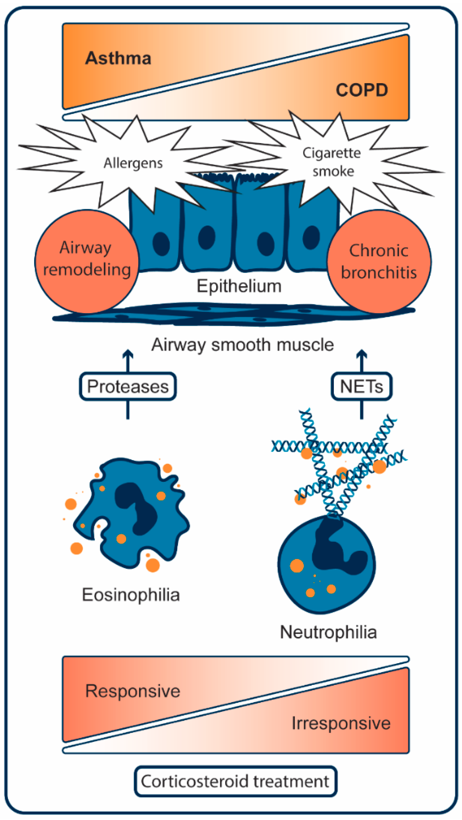 Epigenomes 03 00019 g001