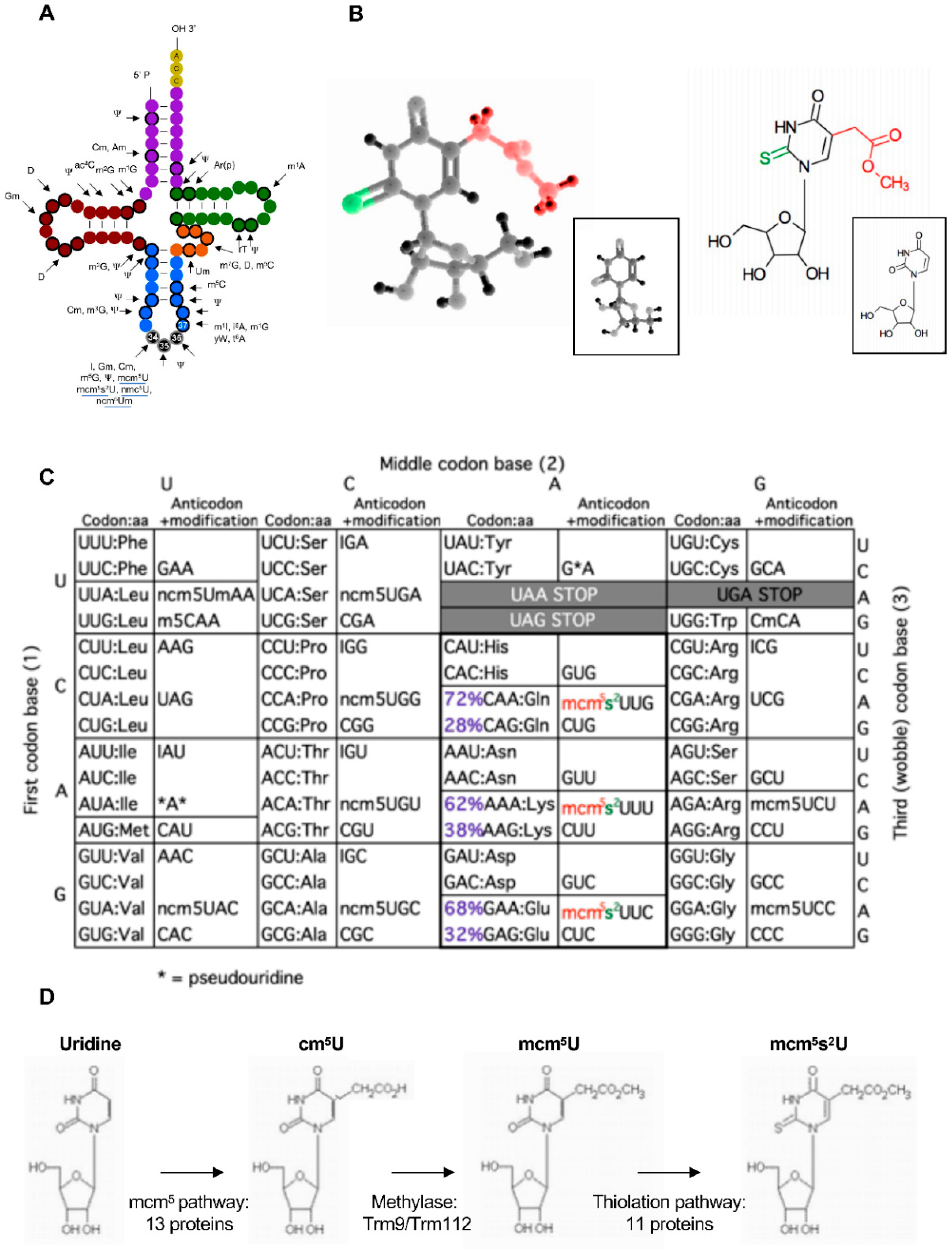 Epigenomes 04 00007 g001 Epigenomes 04 00007 g001