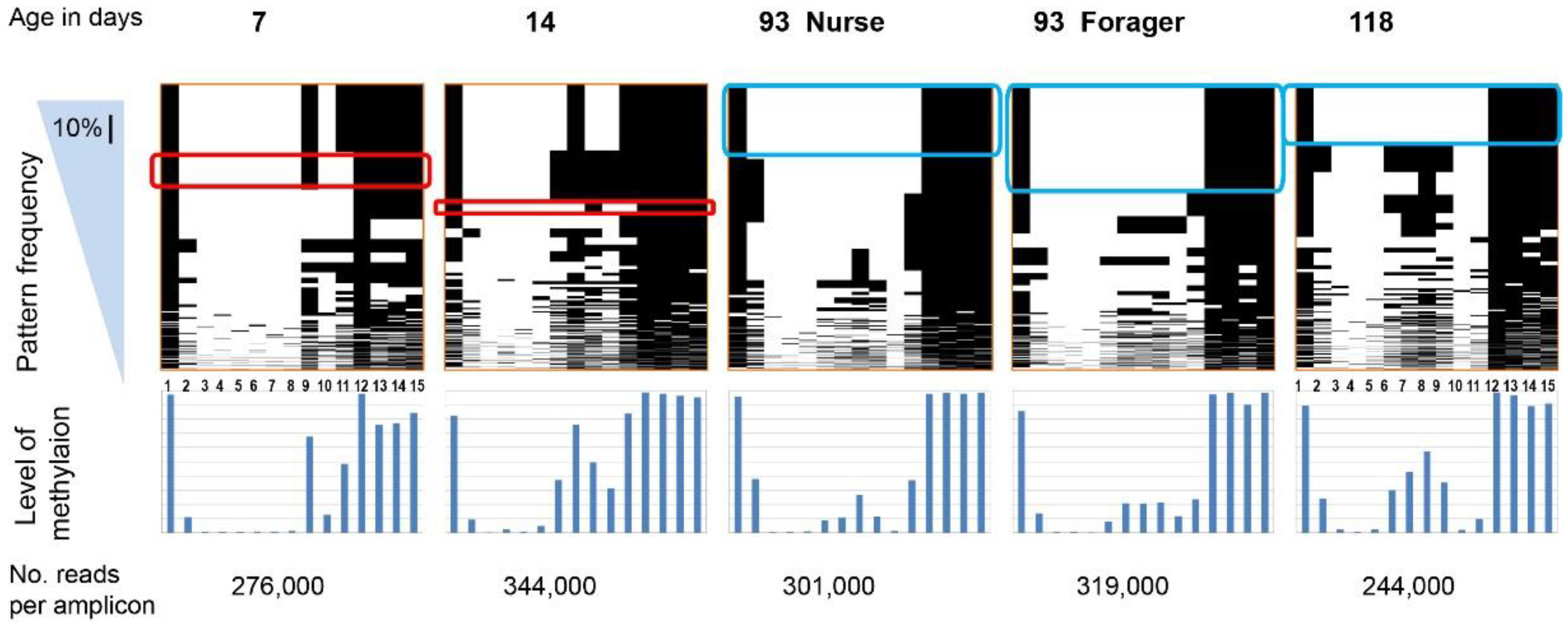 Epigenomes 04 00010 g001 Epigenomes 04 00010 g001