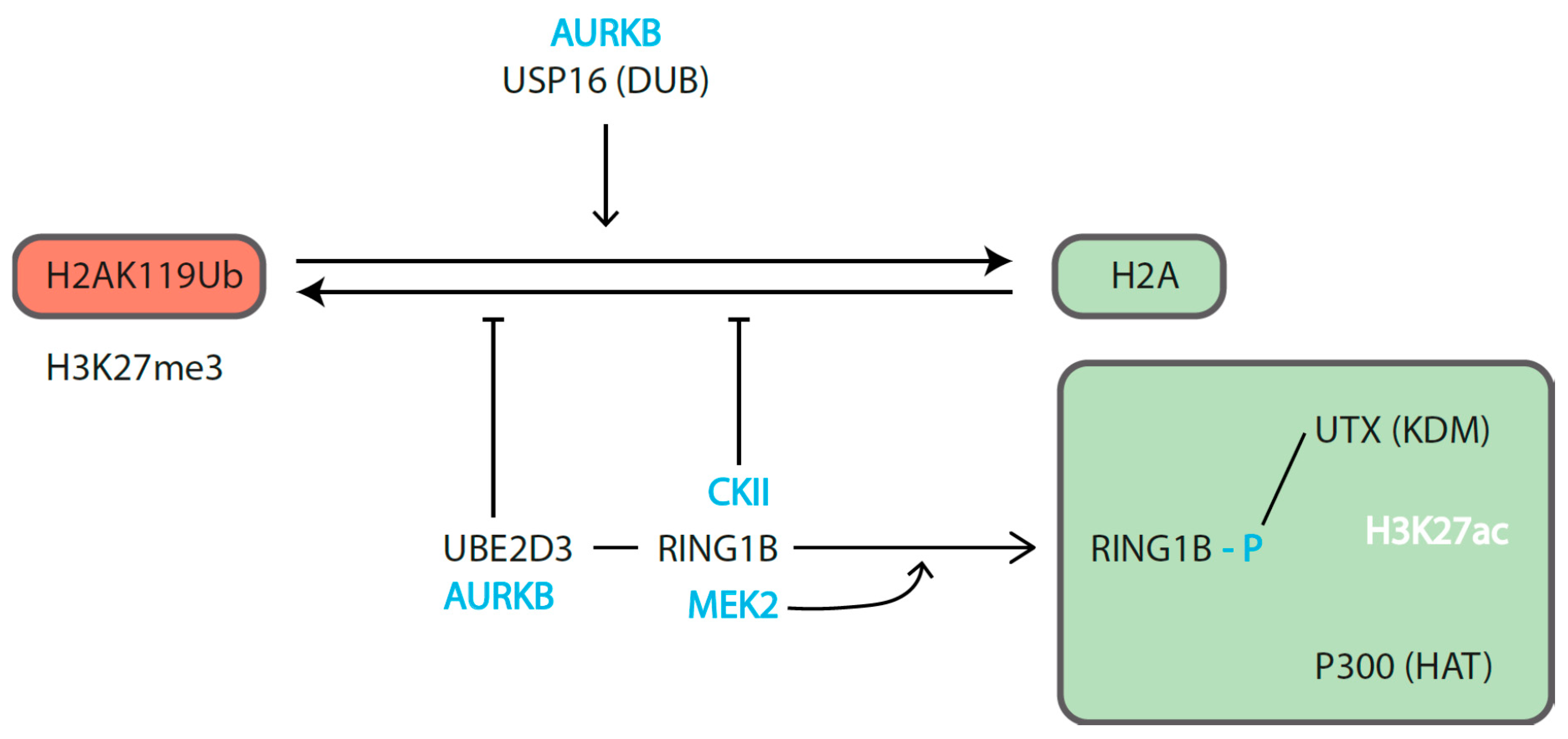 Epigenomes 04 00017 g003 Epigenomes 04 00017 g003