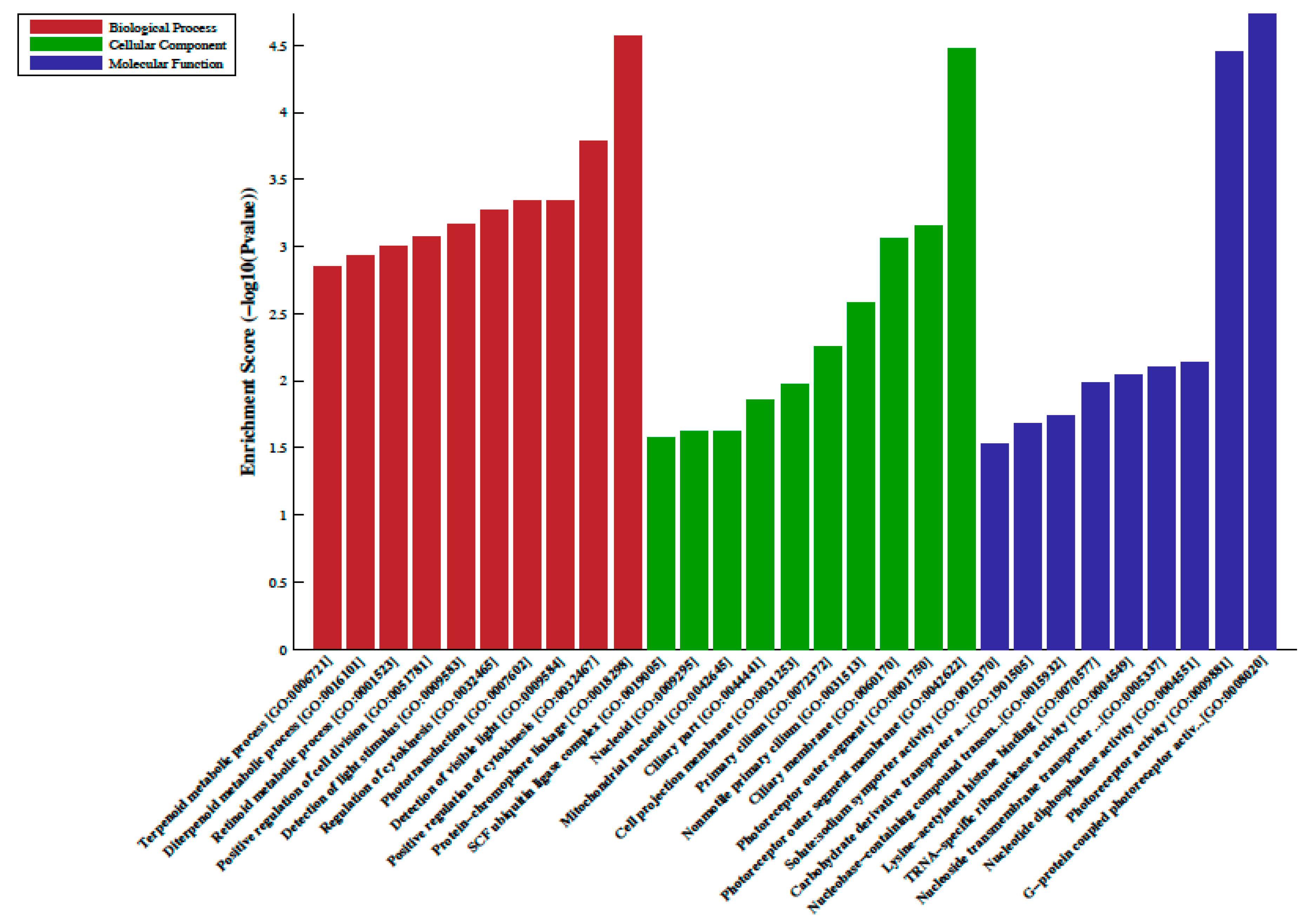 Epigenomes 04 00019 g002