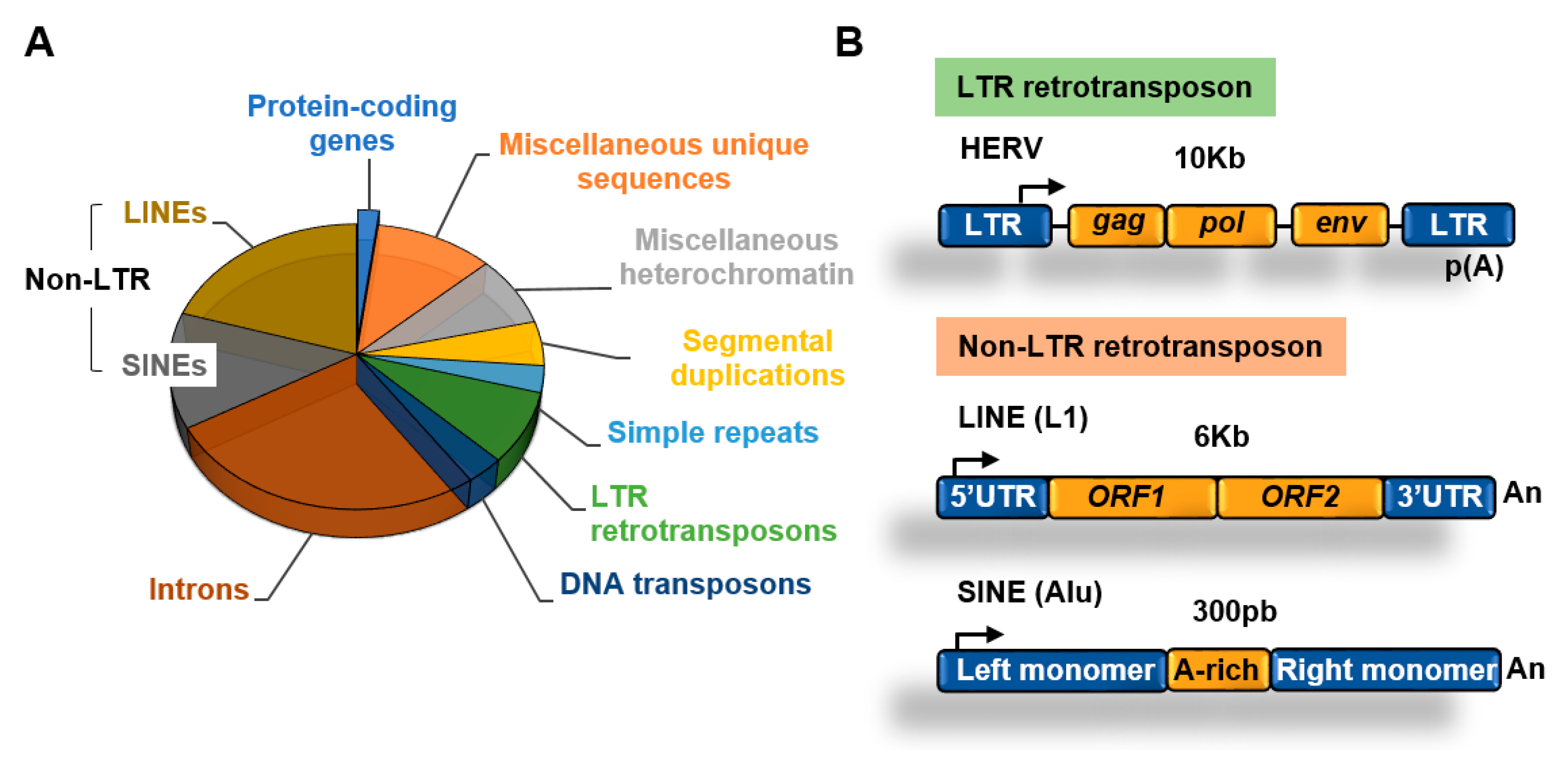 Epigenomes 04 00022 g002 Epigenomes 04 00022 g002