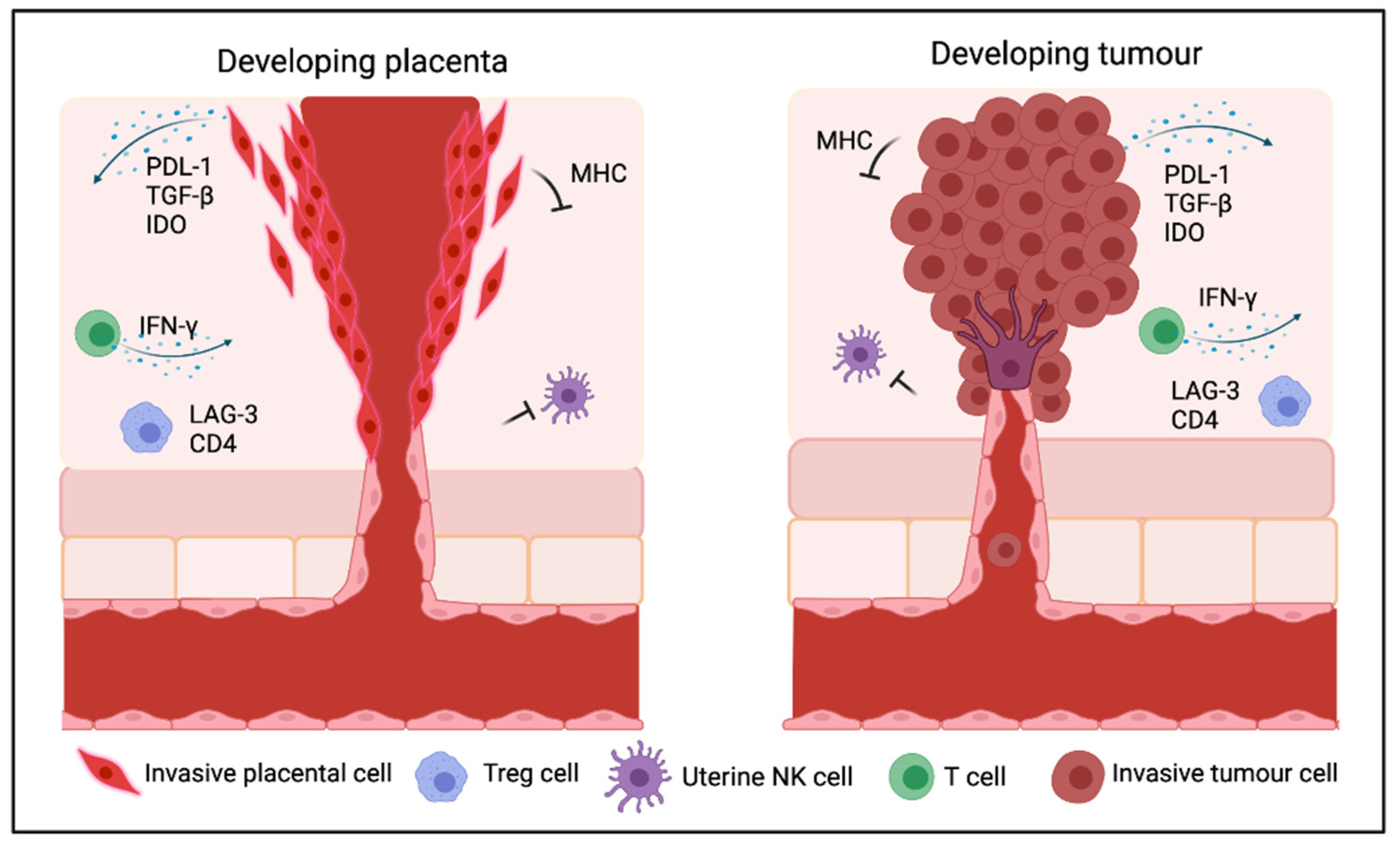 Epigenomes 05 00016 g002