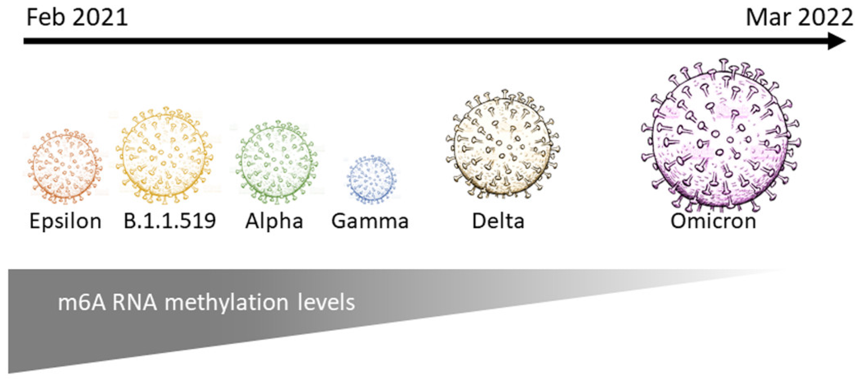 Epigenomes 06 00016 g005