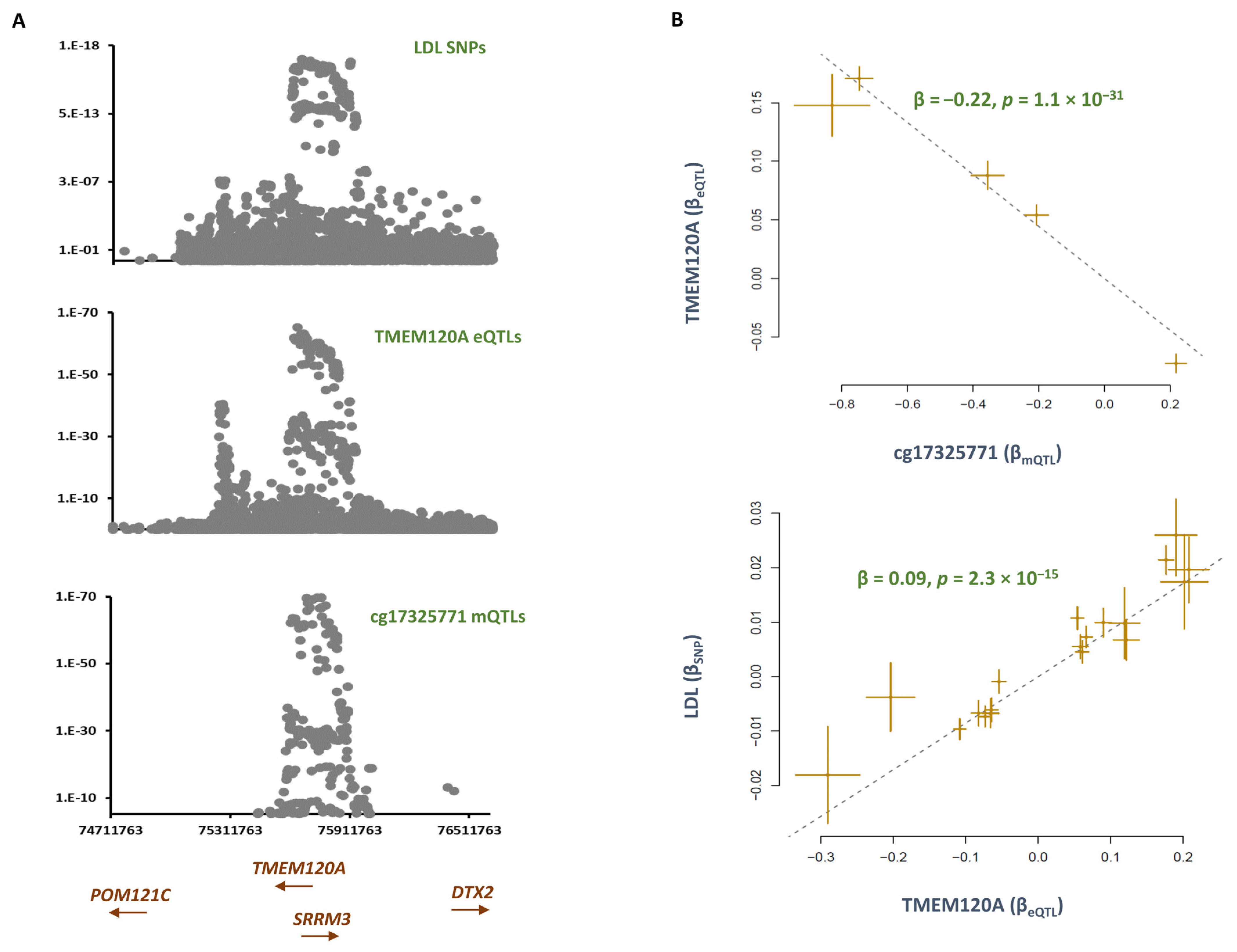 Epigenomes 07 00019 g004