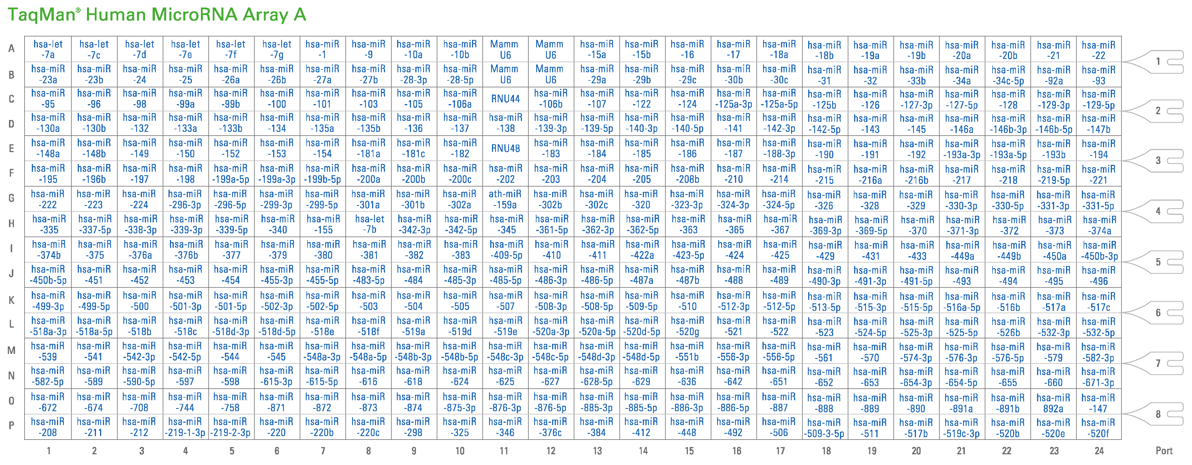Epigenomes 07 00025 g007