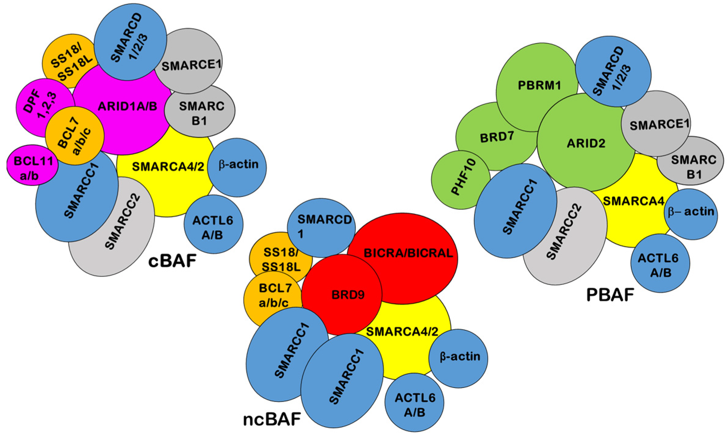 Epigenomes 08 00007 g001