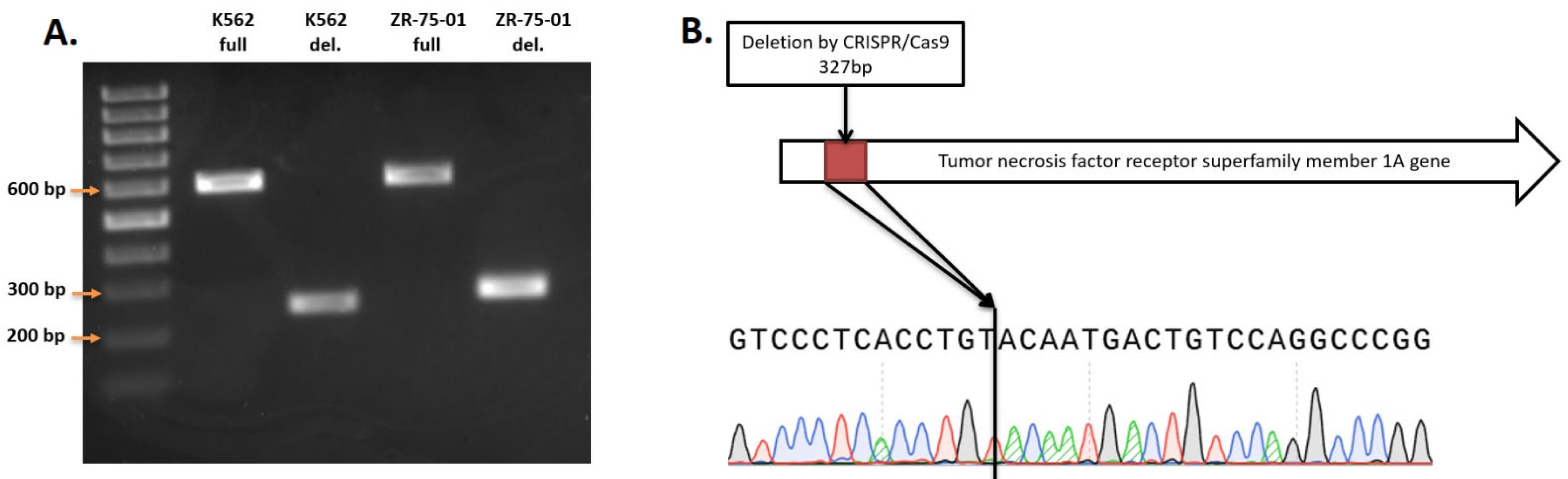 Epigenomes 08 00015 g002