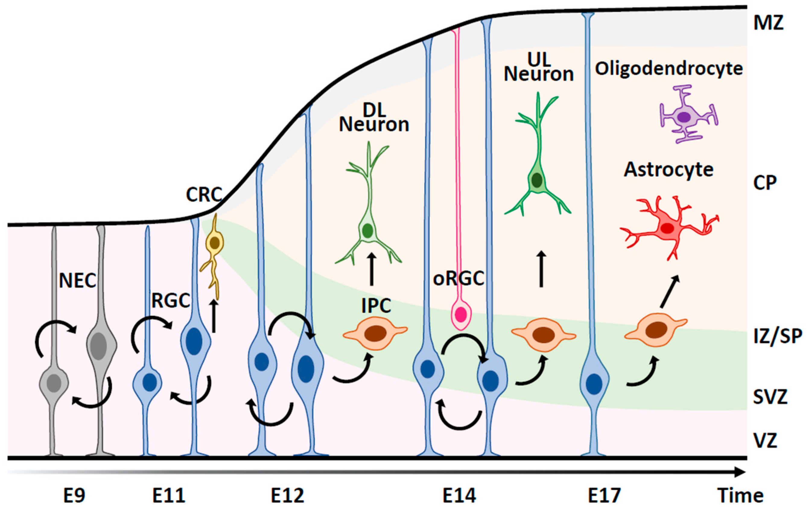 Epigenomes 08 00022 g001 Epigenomes 08 00022 g001