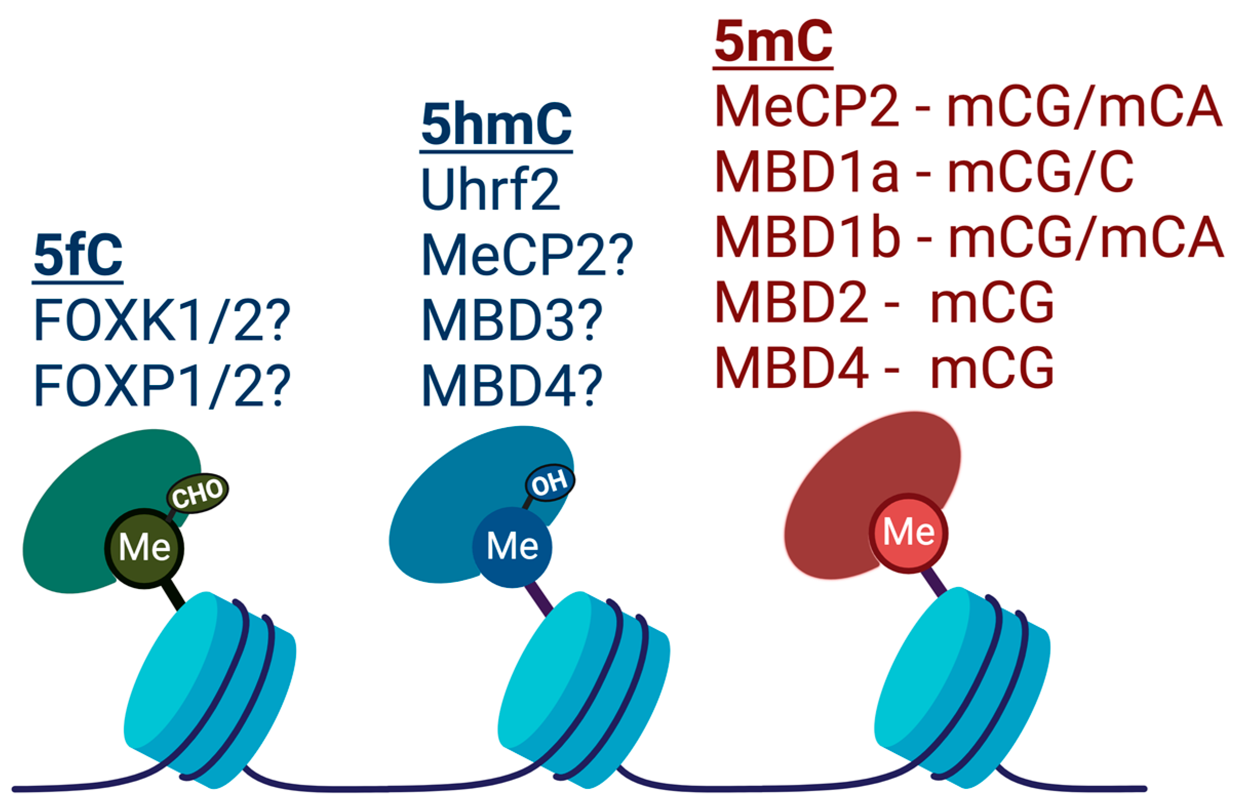 Epigenomes 08 00027 g004 Epigenomes 08 00027 g004