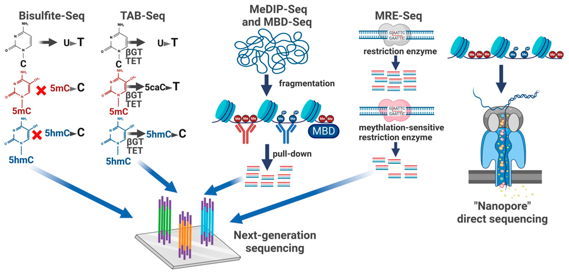 Epigenomes 08 00027 g006 Epigenomes 08 00027 g006