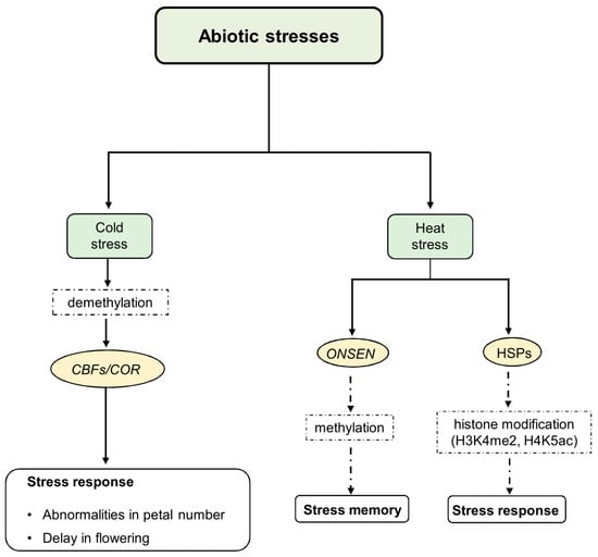 Unravelling the Epigenetic Code DNA Methylation in Plants and Its  