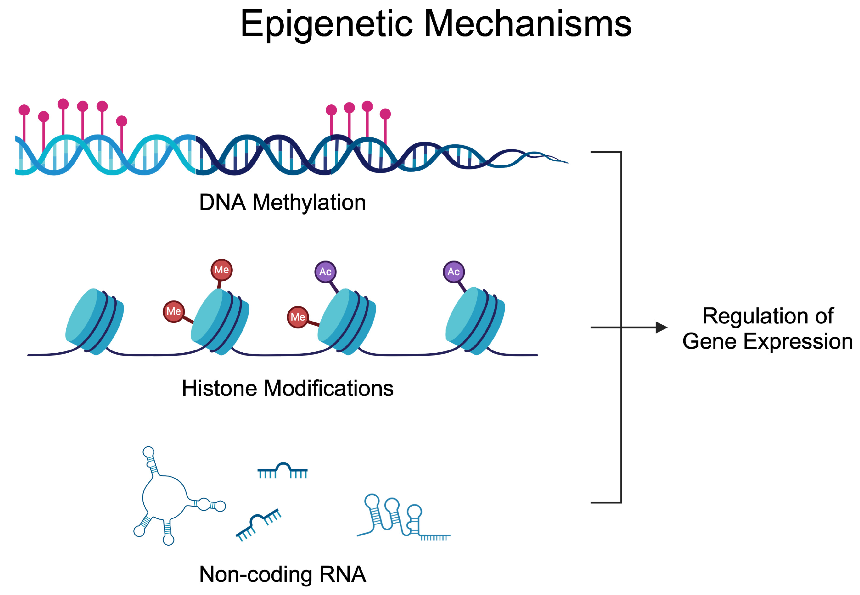 Epigenomes 09 00002 g001 Epigenomes 09 00002 g001