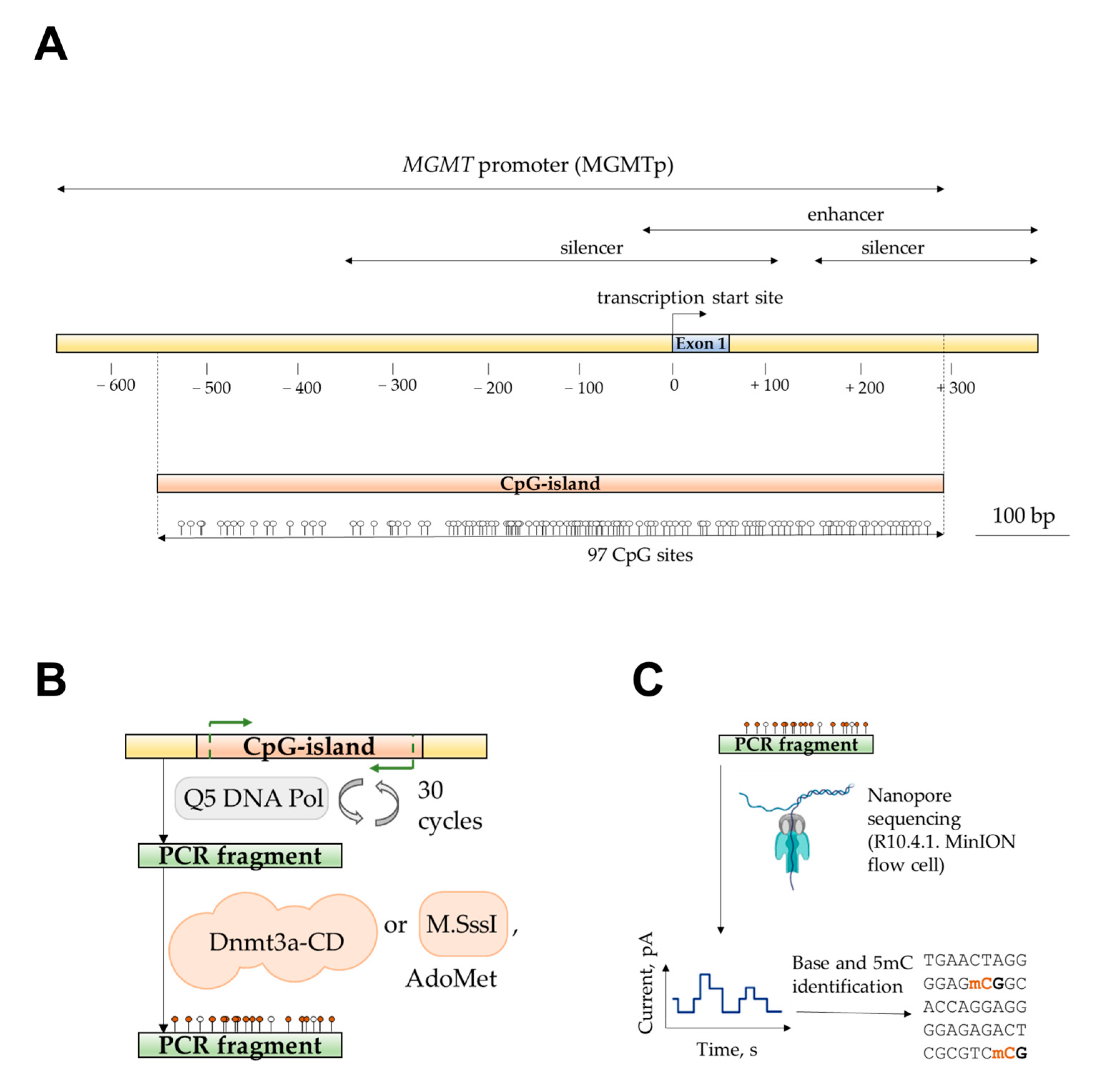 Epigenomes 09 00004 g001