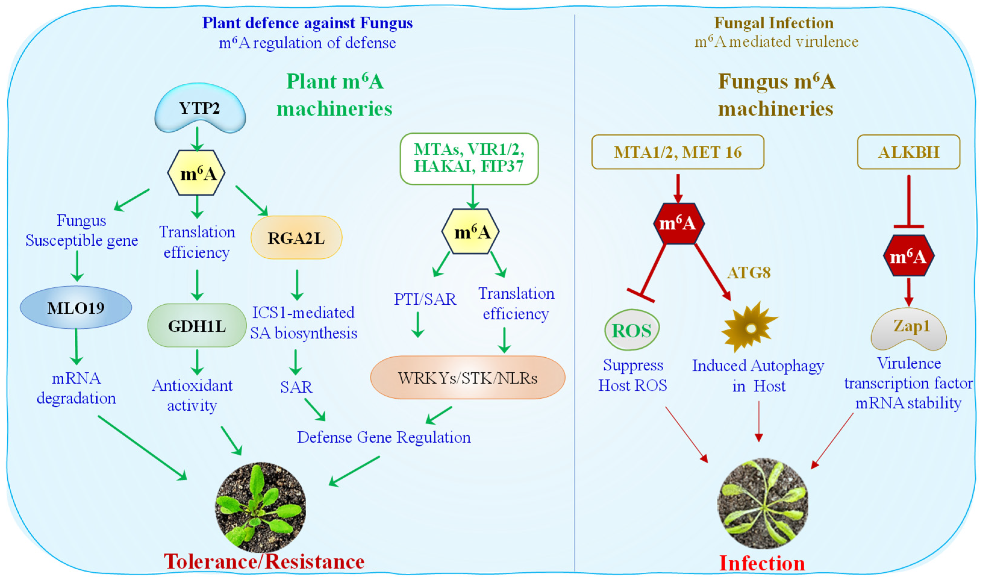 Epigenomes 09 00042 g002 Epigenomes 09 00042 g002