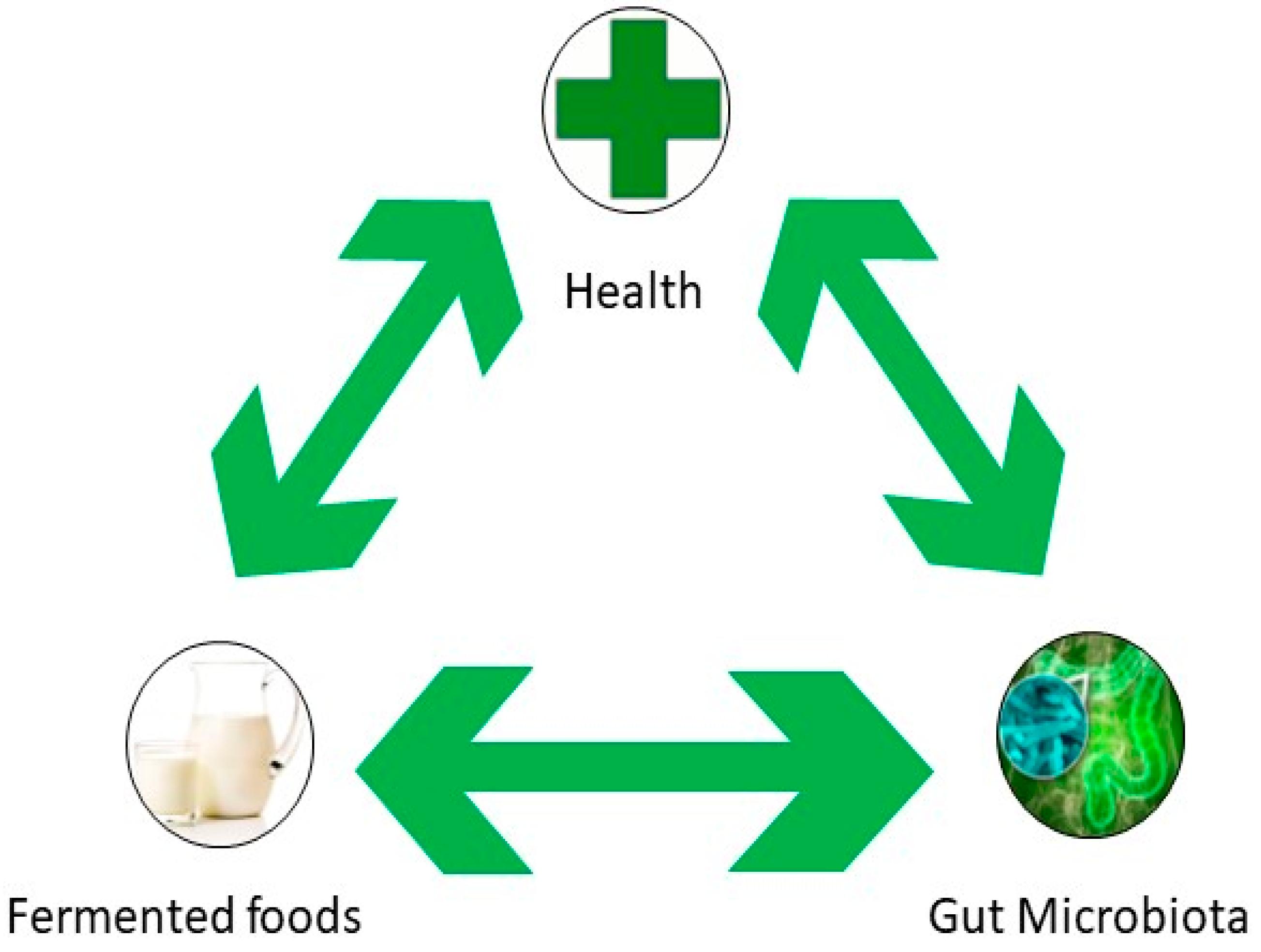 Fermentation Free Full Text Fermented Foods And Beverages In Human Diet And Their Influence On Gut Microbiota And Health Html