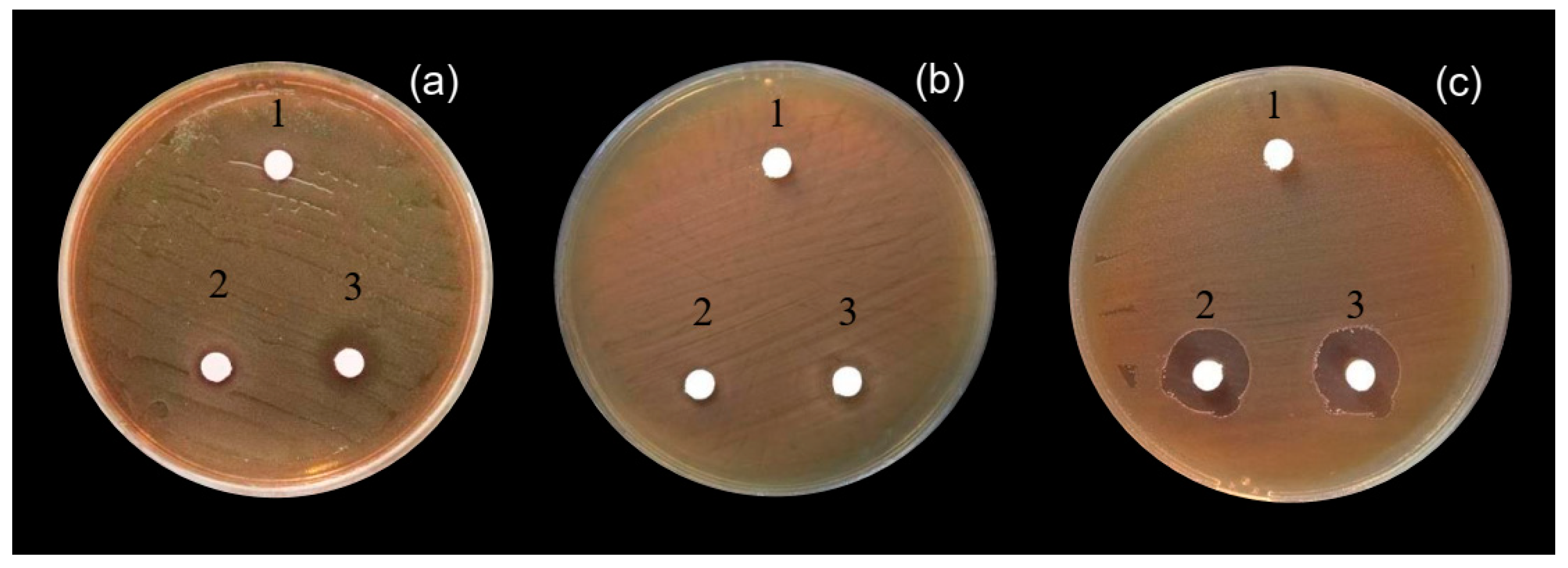 Fermentation 05 00032 g004