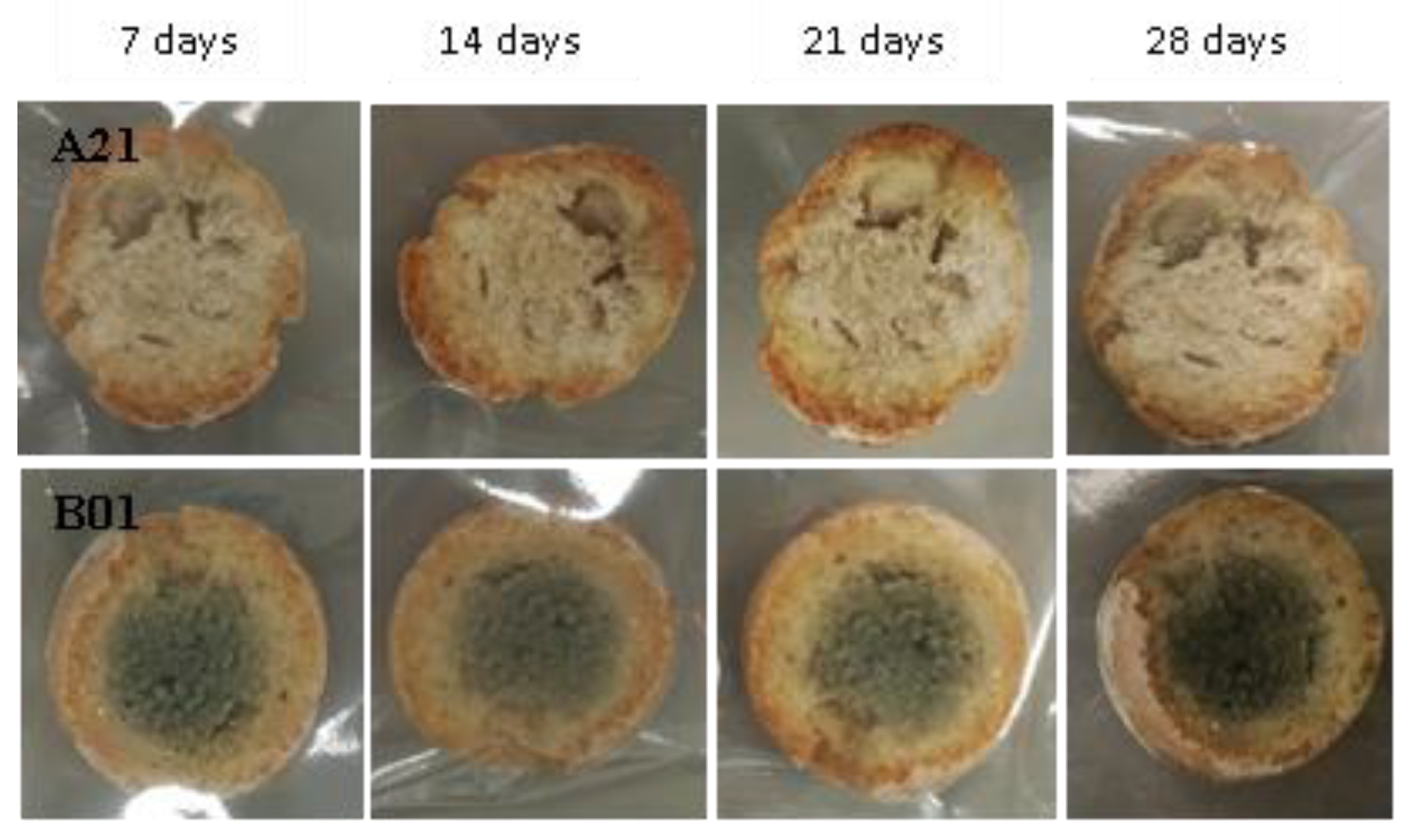 Fermentation | Free Full-Text | Exploration of the Microbial