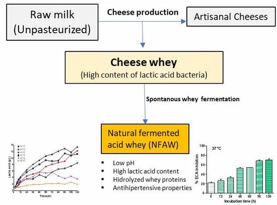 Fermentation Free Full Text Cheese Whey Fermentation By Its Native Microbiota Proteolysis And Bioactive Peptides Release With Ace Inhibitory Activity Html