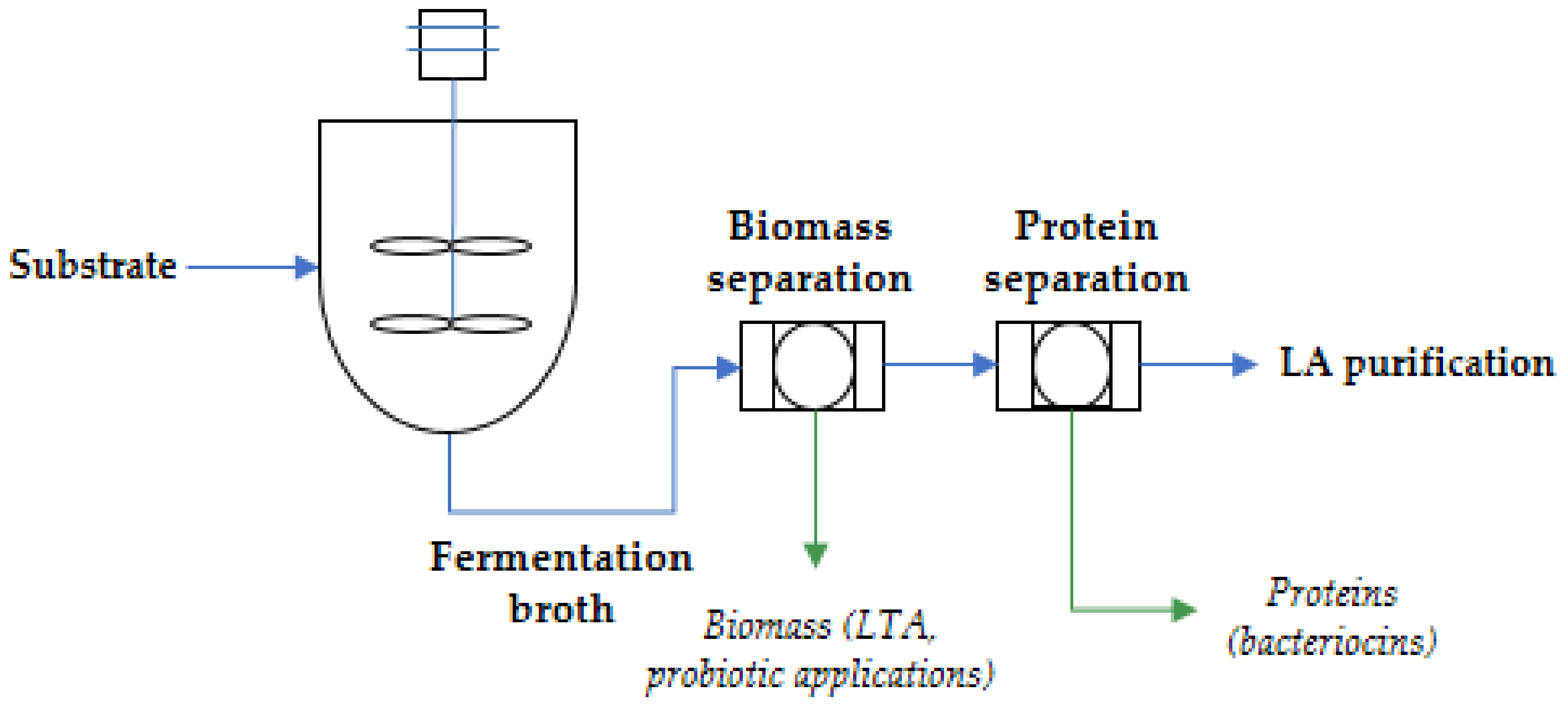 Fermentation Diagram - Fermentation 06 00023 G003