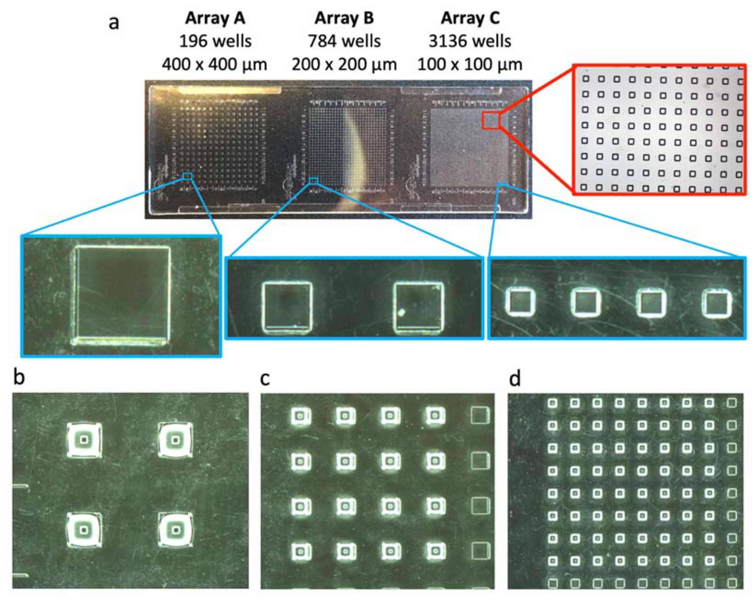 Fermentation 06 00026 g003