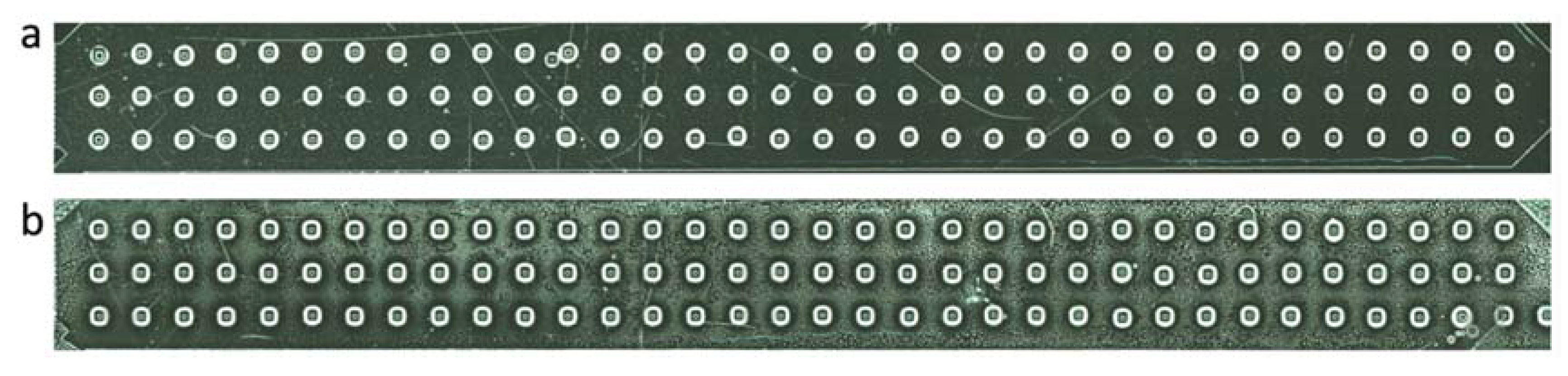 Fermentation 06 00026 g004
