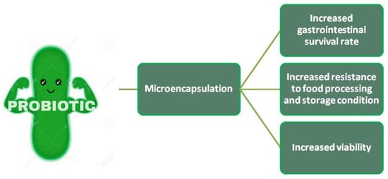 Fermentation Free Full Text Review On Non Dairy Probiotics And Their Use In Non Dairy Based Products Html