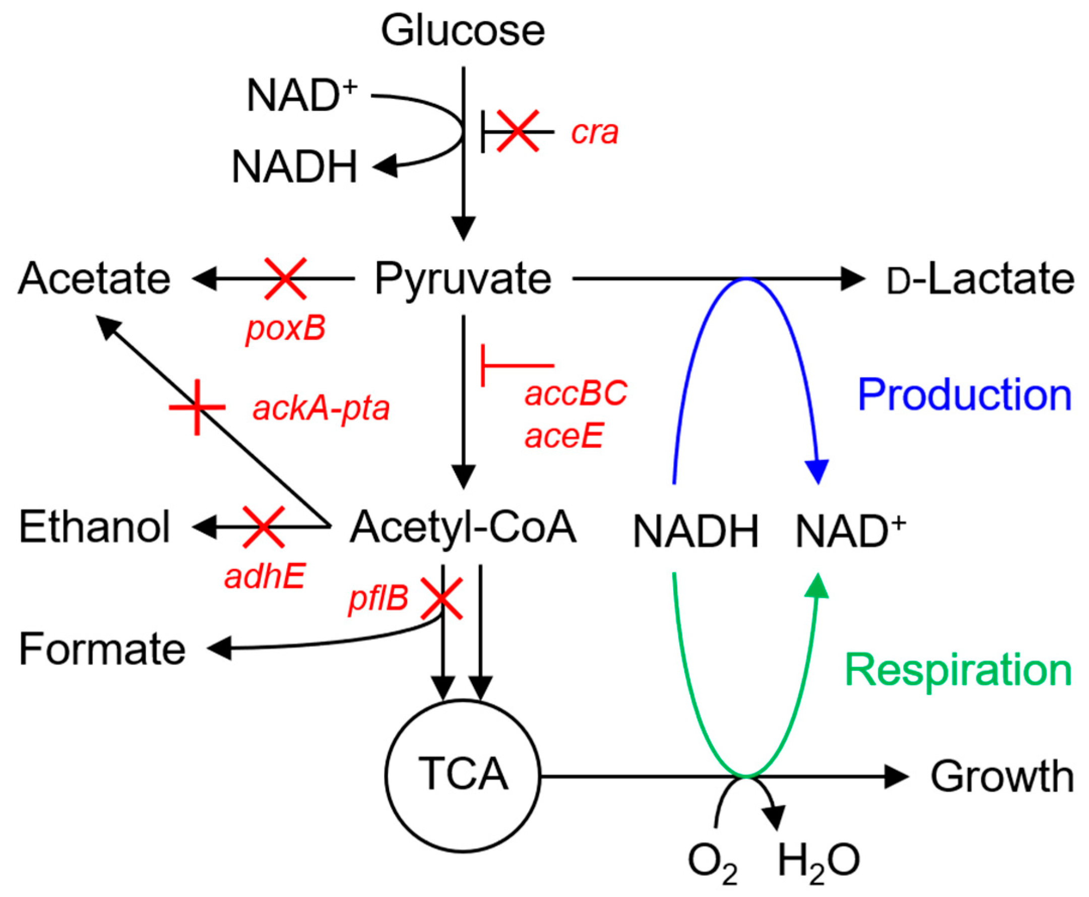 Fermentation 06 00070 g002