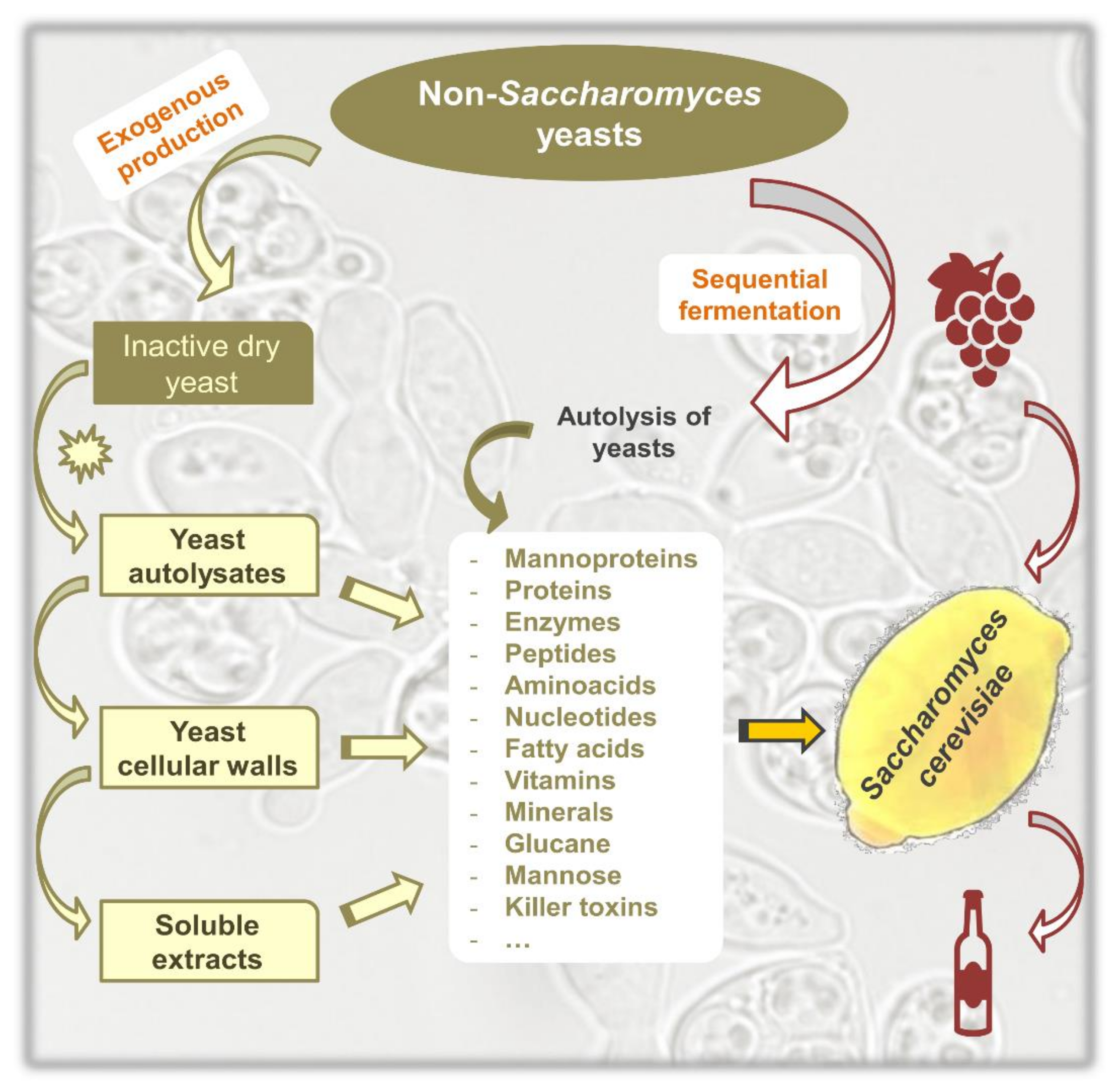 Fermentation 06 00076 g001 Fermentation 06 00076 g001