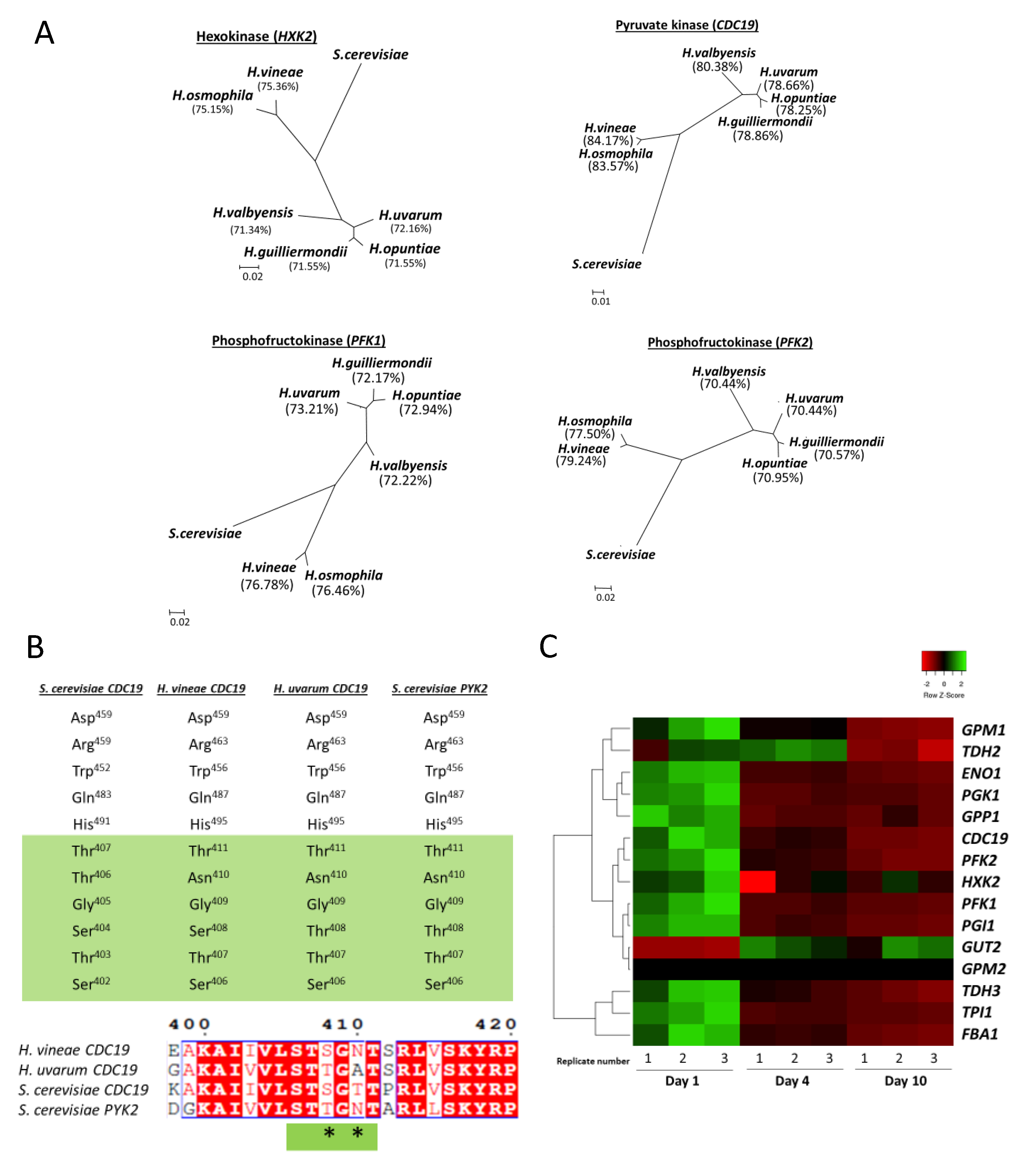 Fermentation 06 00078 g004 Fermentation 06 00078 g004