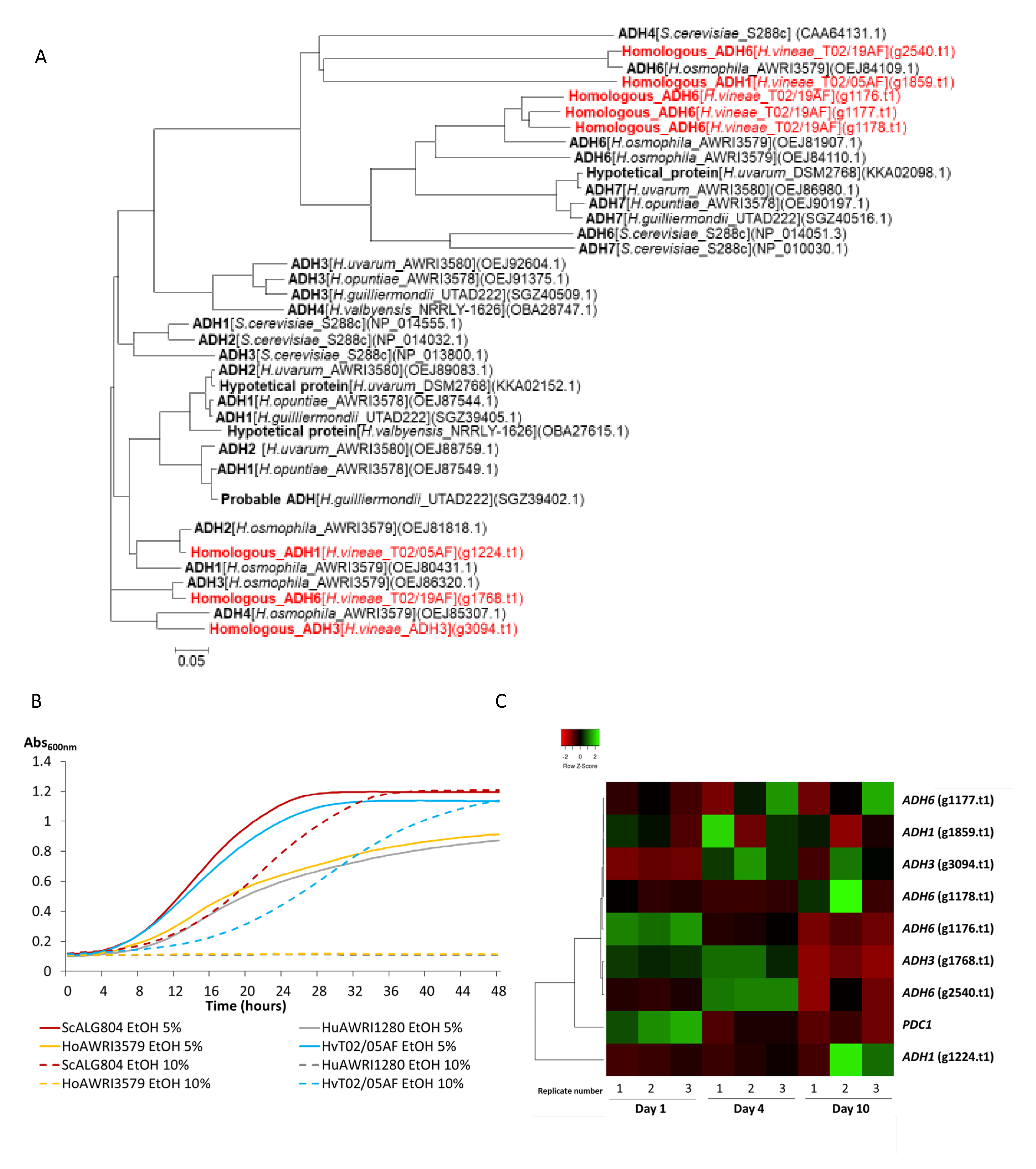Fermentation 06 00078 g005 Fermentation 06 00078 g005