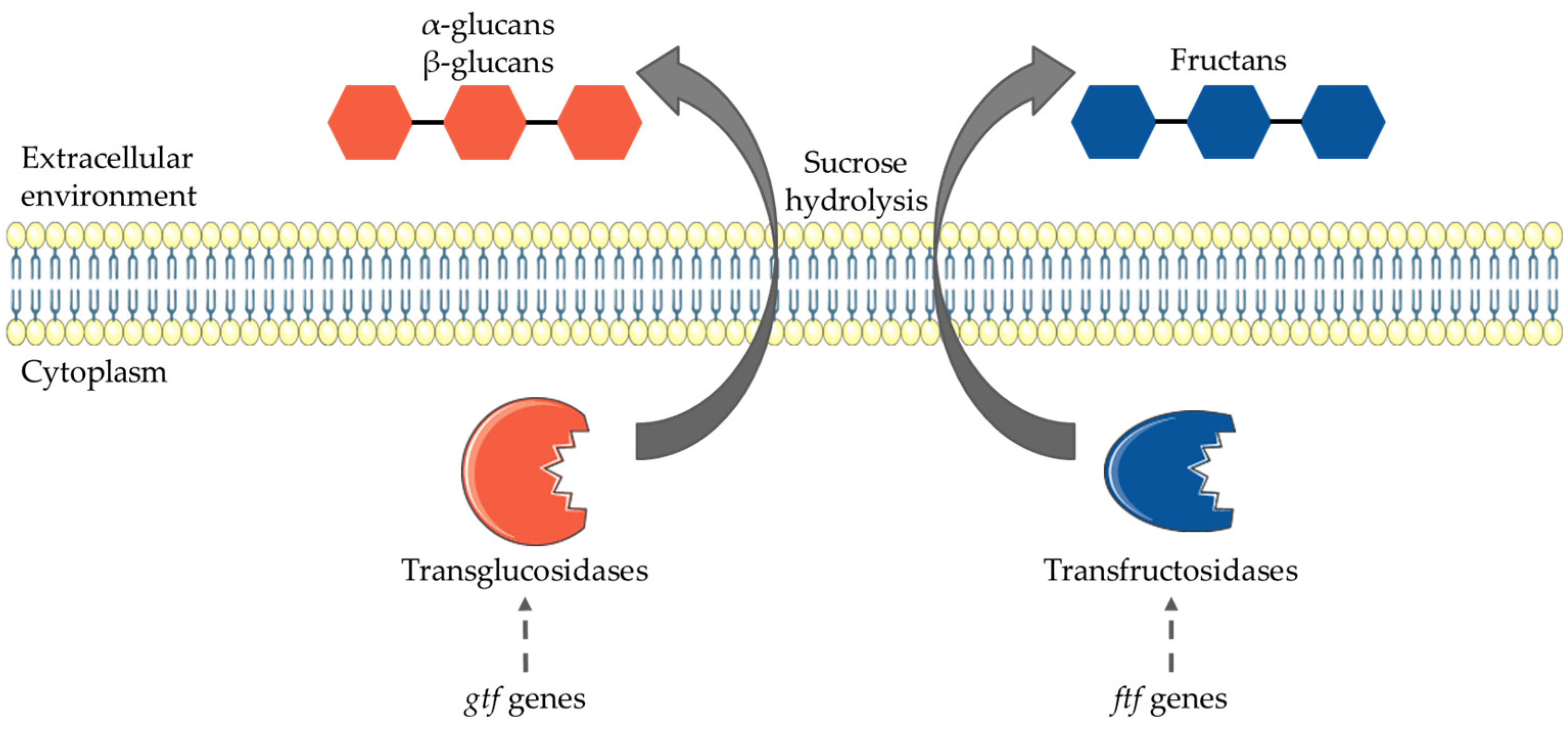 Fermentation 06 00115 g002 Fermentation 06 00115 g002