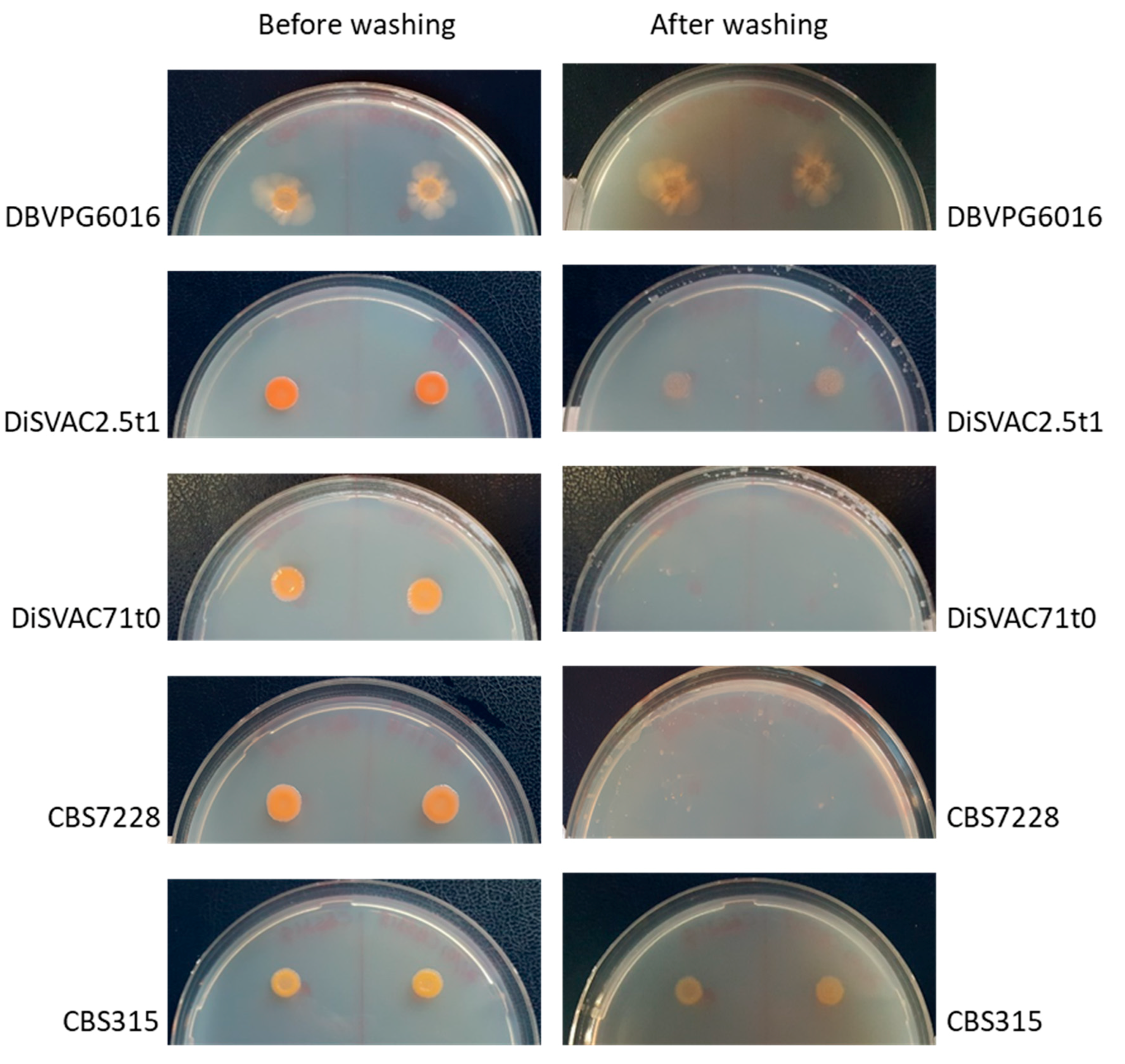 Fermentation 07 00002 g002 Fermentation 07 00002 g002