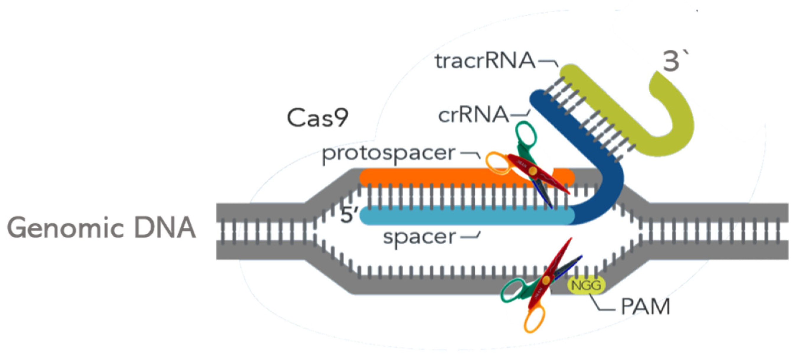 Fermentation 07 00005 g002 Fermentation 07 00005 g002