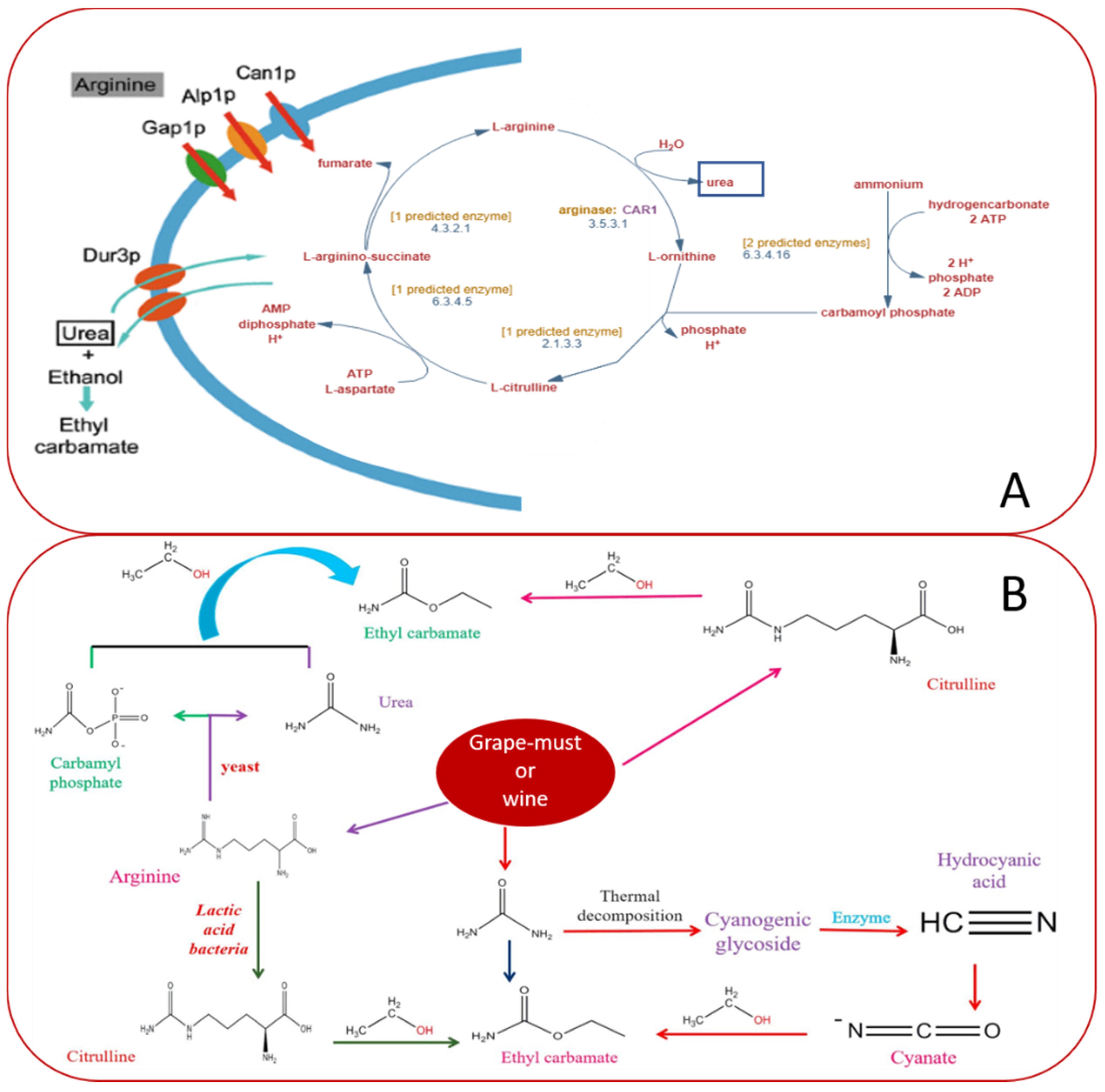 Fermentation 07 00005 g004 Fermentation 07 00005 g004