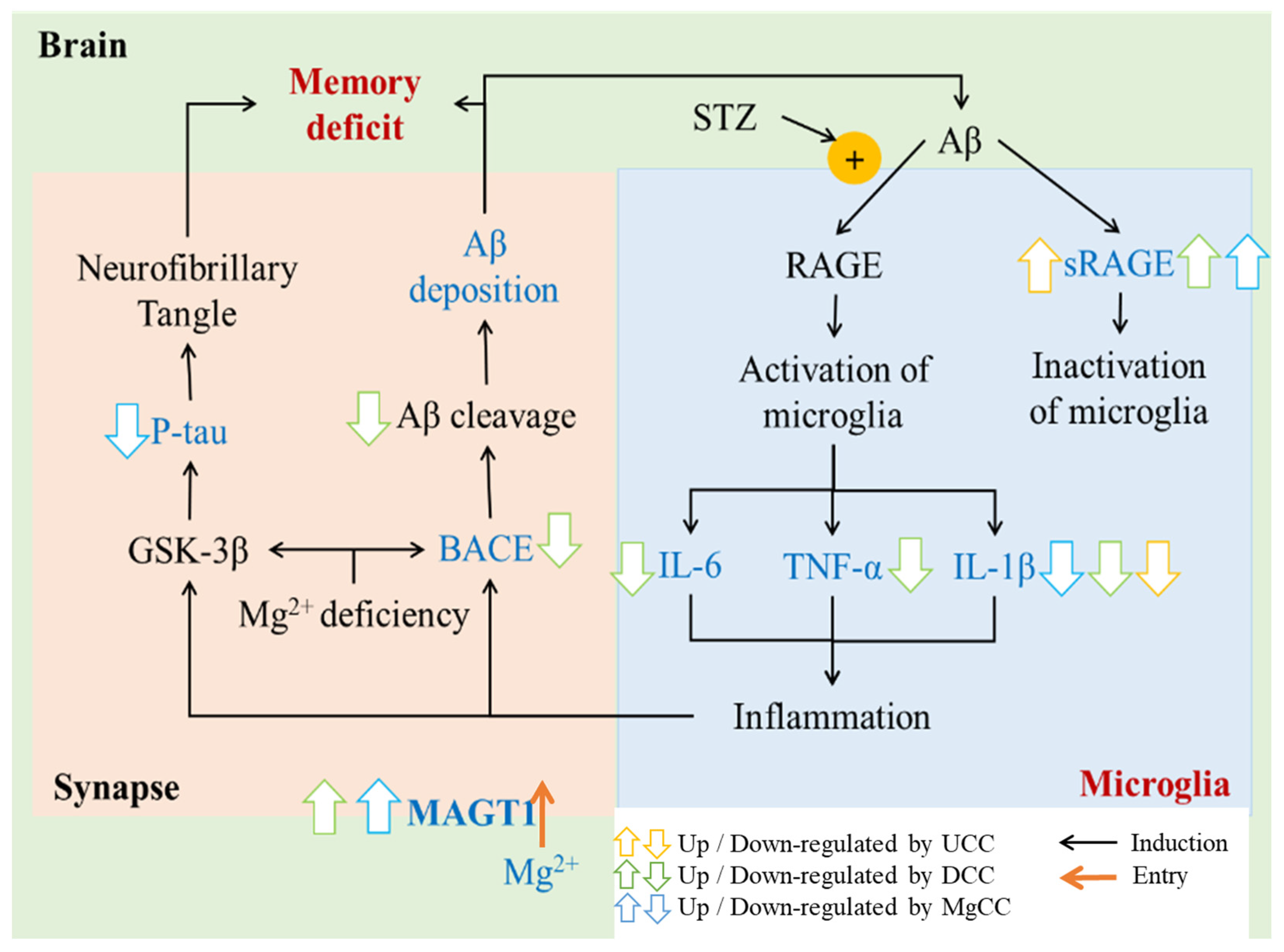 Fermentation 07 00039 g007 Fermentation 07 00039 g007