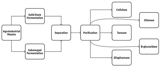 Fermentation - Fermentation 07 00048 G002 550