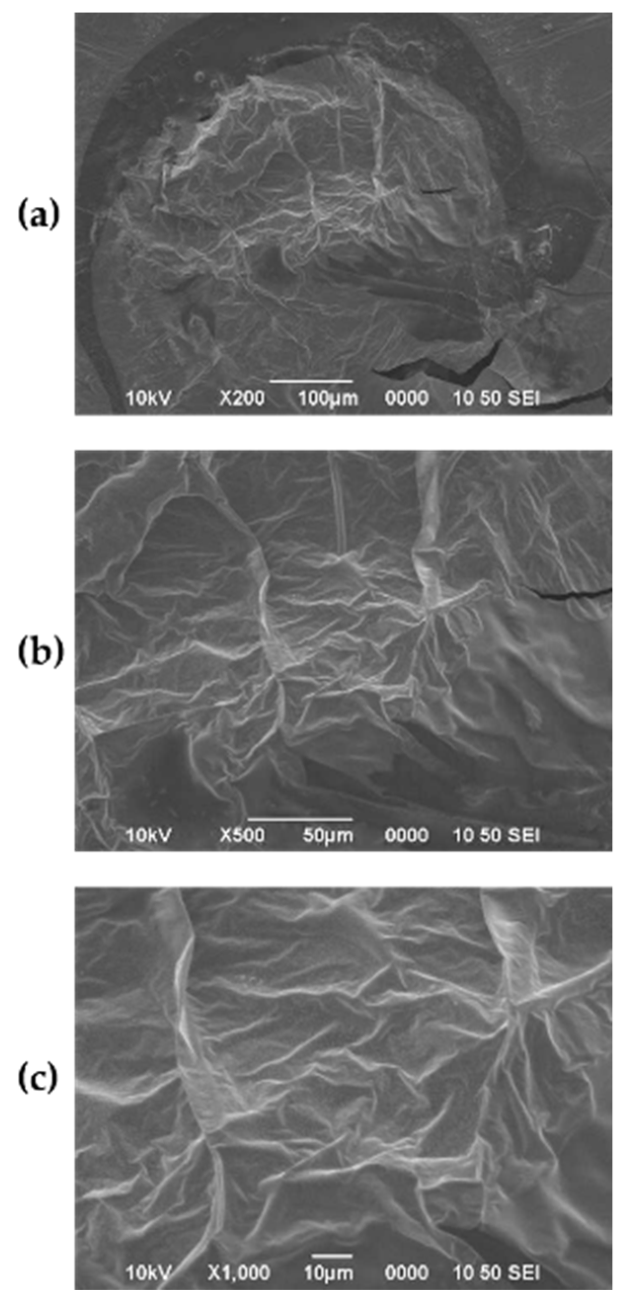 Fermentation 07 00084 g005 Fermentation 07 00084 g005